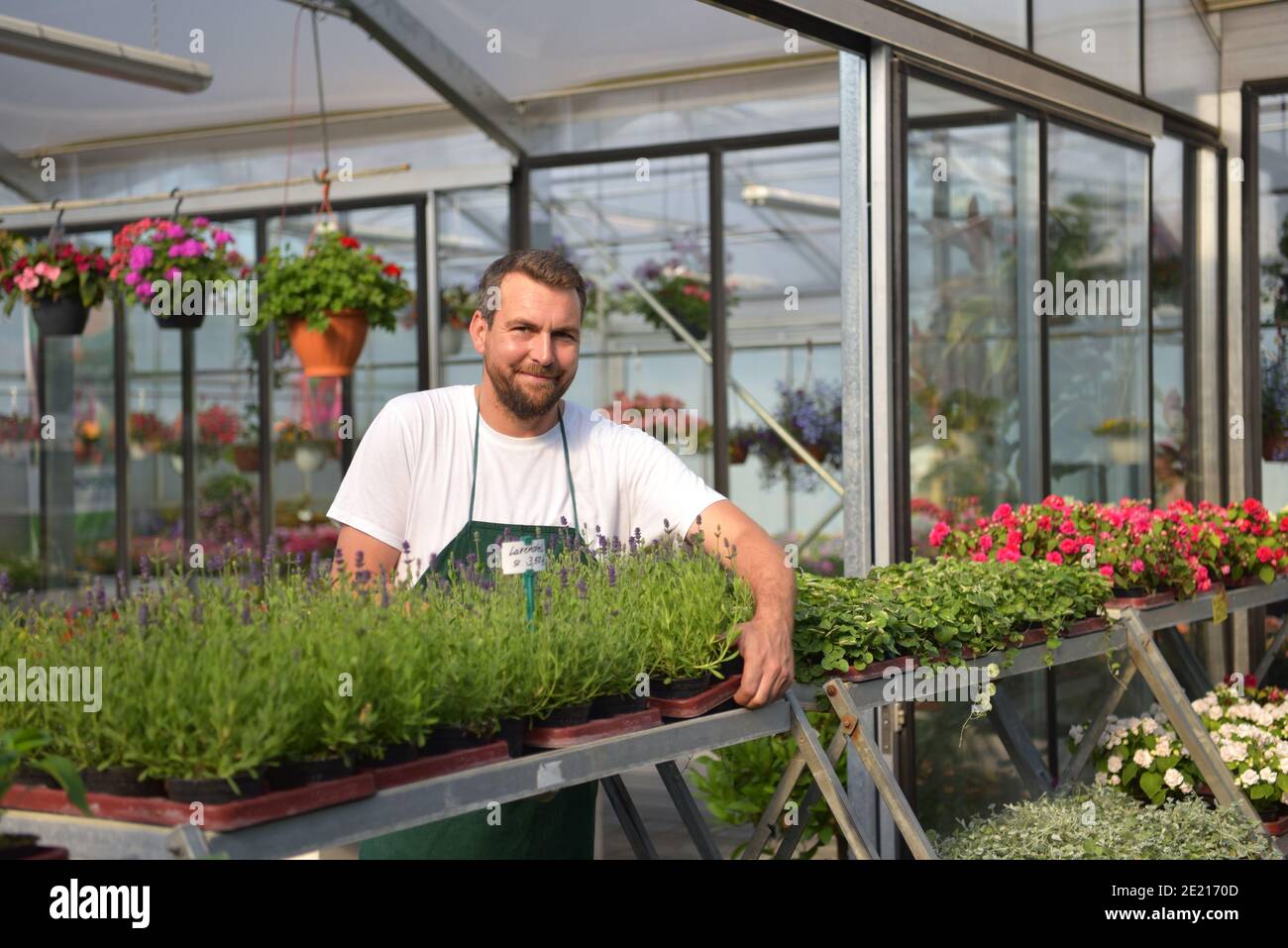 Glücklicher Arbeiter, der Blumen in einem Gewächshaus eines Blumenladens wächst Stockfoto