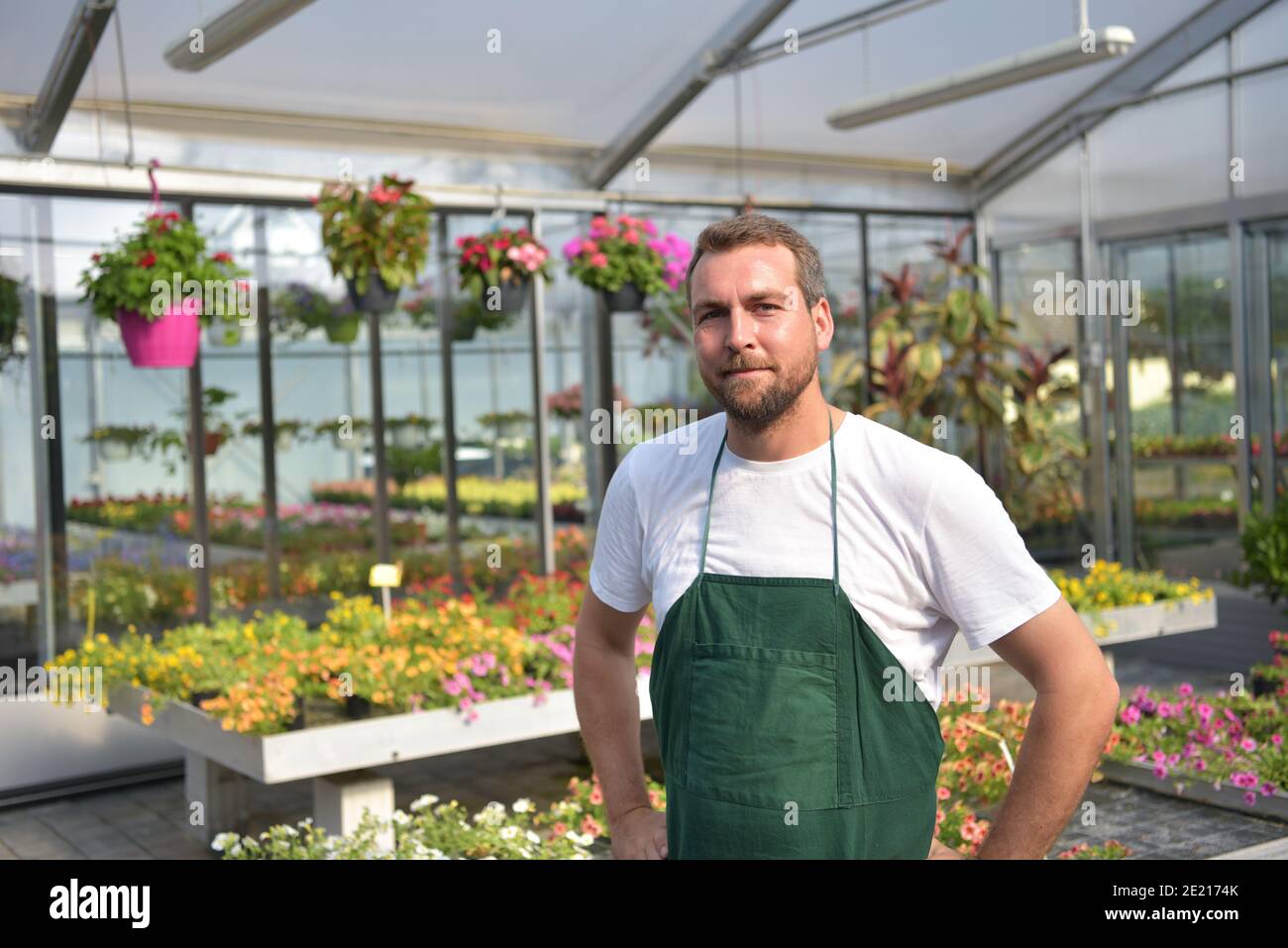 Glücklicher Arbeiter, der Blumen in einem Gewächshaus eines Blumenladens wächst Stockfoto