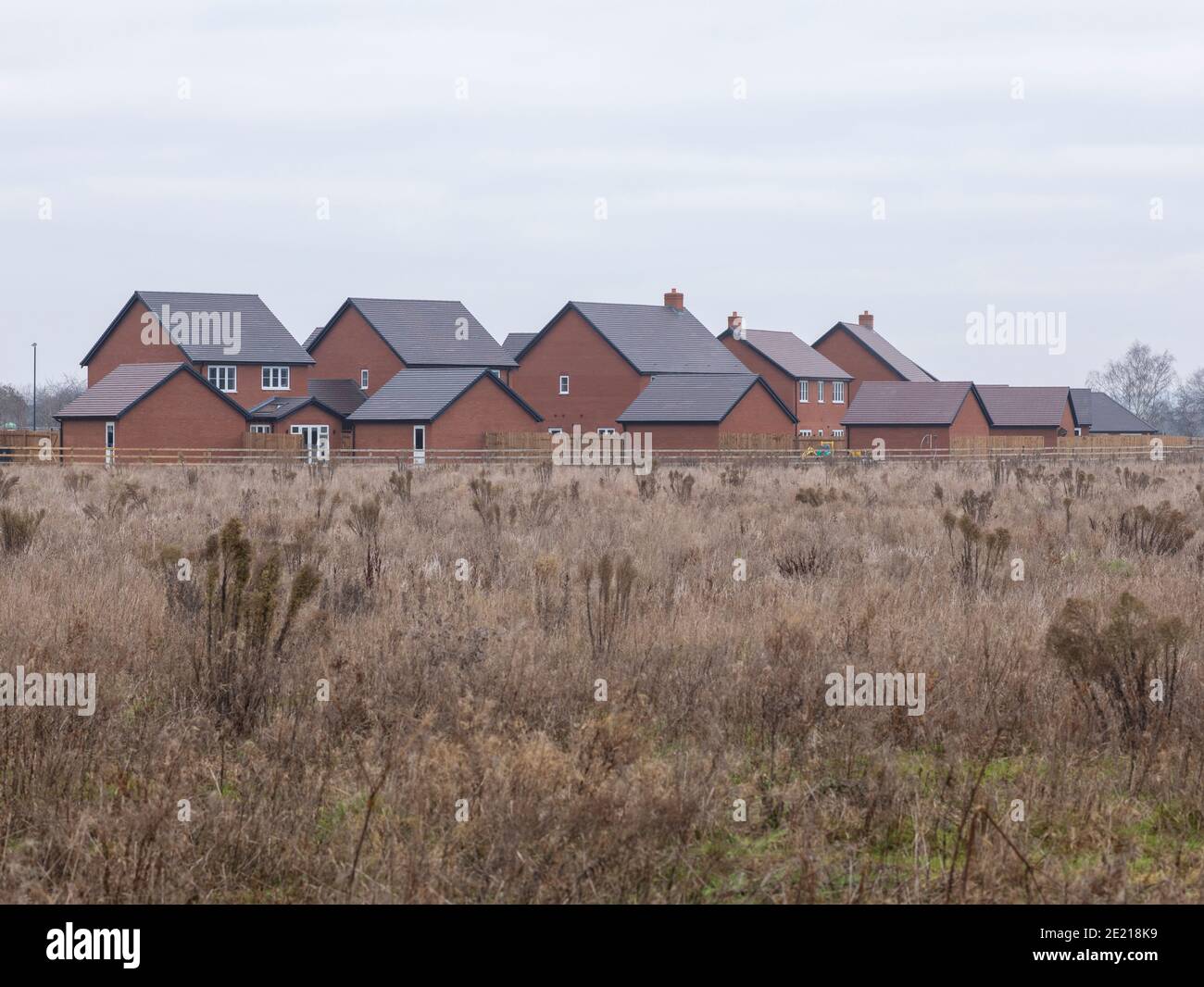 Neue Häuser im Dorf Salford Priors, Warwickshire, Großbritannien Stockfoto