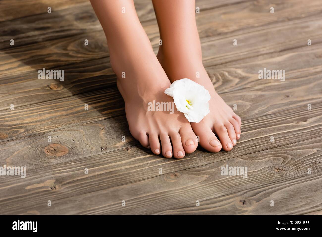 Weibliche Füße mit glänzendem rosa Nagellack auf Zehennägeln, und weiße eustoma Blume auf brauner Holzoberfläche Stockfoto