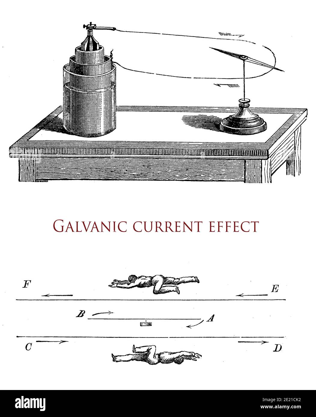 Galvanischer Strom, der von zwei oder mehr unterschiedlichen Metallen in erzeugt wird Ein Elektrolyt fließt in eine konstante Richtung Stockfoto
