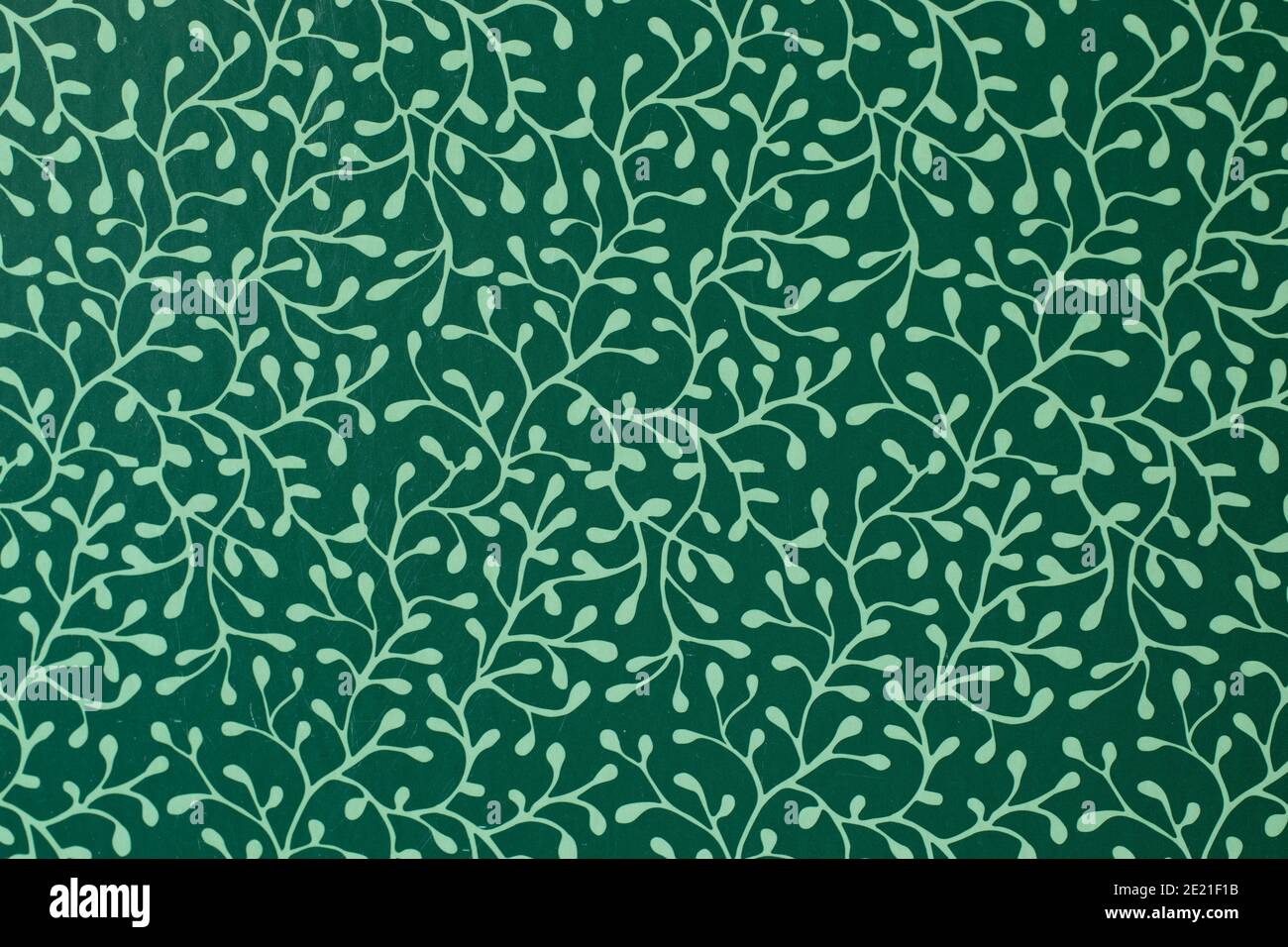 Grüner Hintergrund mit einem Muster von Baumzweigen. Stockfoto