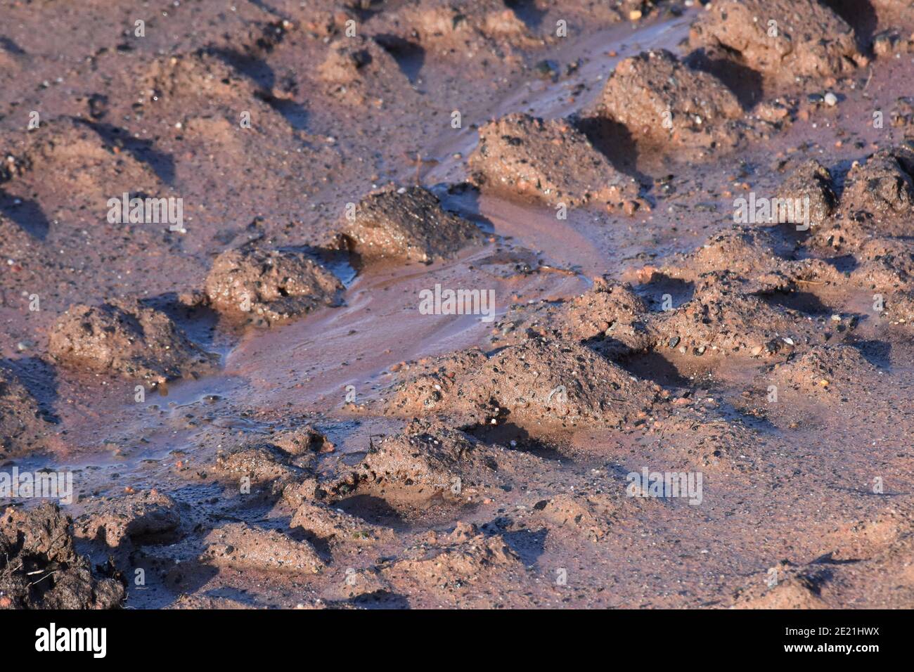 Reifenspuren in rötlich-braunem Sandstein Stockfoto