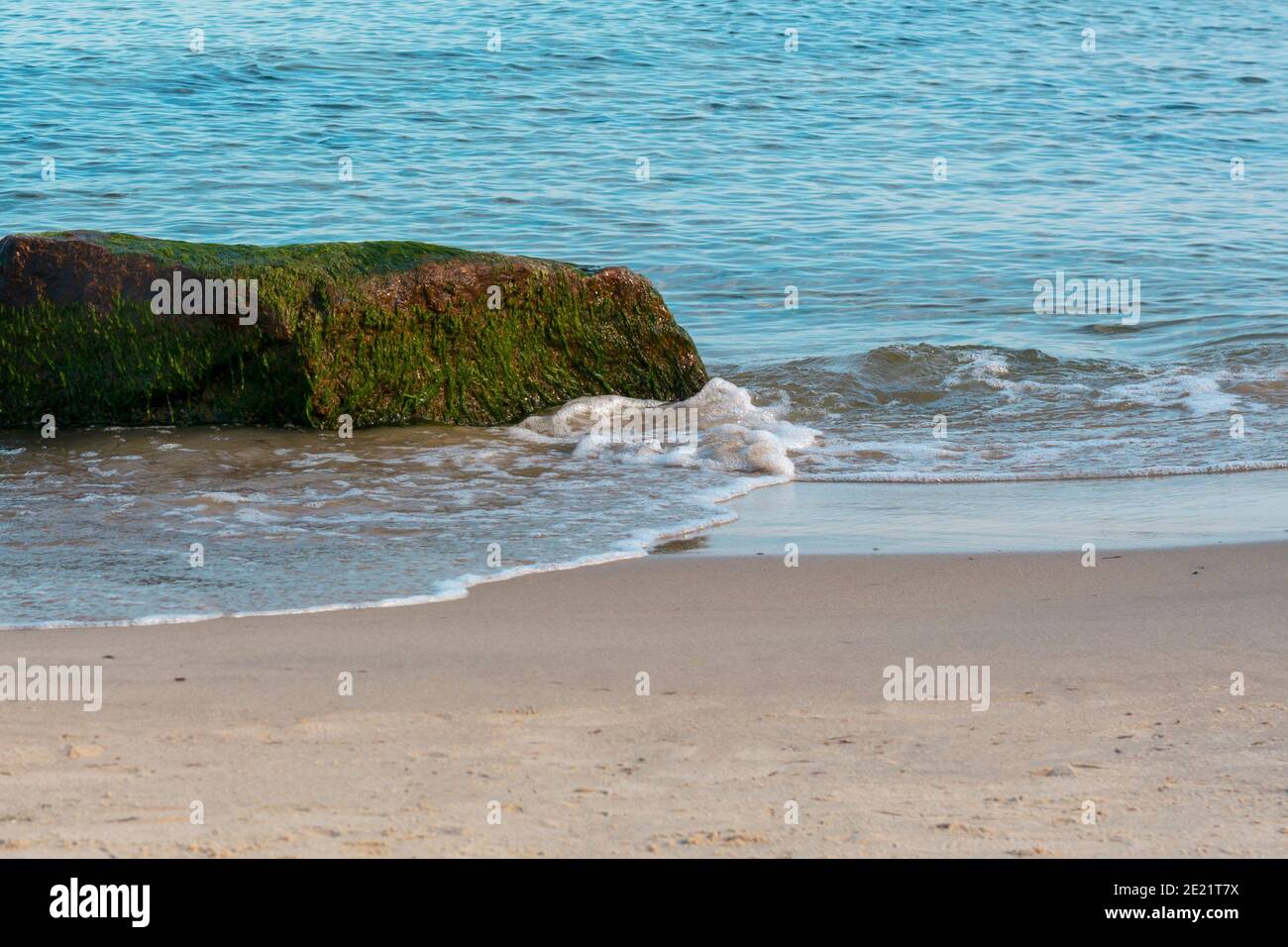 Große Felsbrocken mit grünen Algen an der Küste bedeckt. Welle mit weißem Schaum auf Sand des Strandes. Selektiver Fokus. Stockfoto