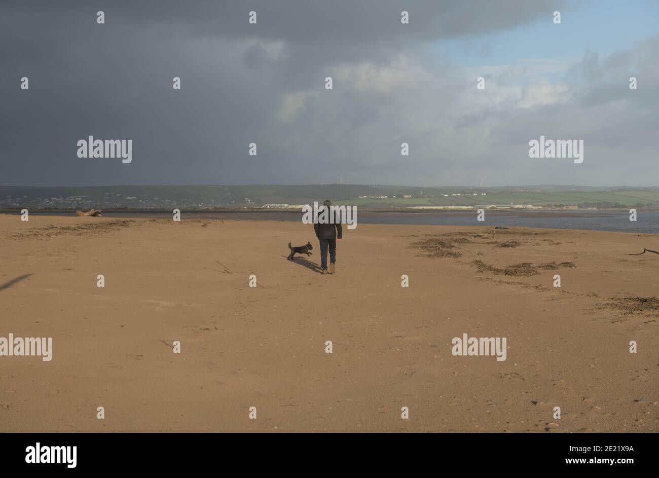 Erwachsener Rüde und ein Schwarzer Schoodle Hund beim Spaziergang am Strand am Crow Point von Braunton Burrows an der Nordküste in Devon, England, Großbritannien Stockfoto
