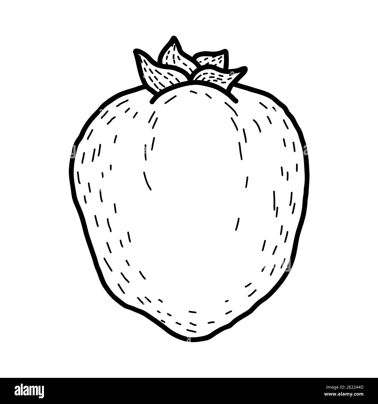 Persimmon. Hand gezeichnete Doodle Persimmon Frucht Illustration isoliert auf weißem Hintergrund. Symbol „Lebensmittel“, Stockfoto