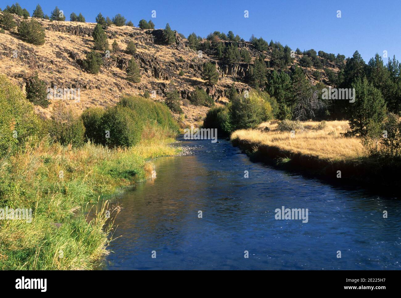 Donner und Blitzen Wild & Scenic River, Steens Mountain Wilderness, Oregon Stockfoto