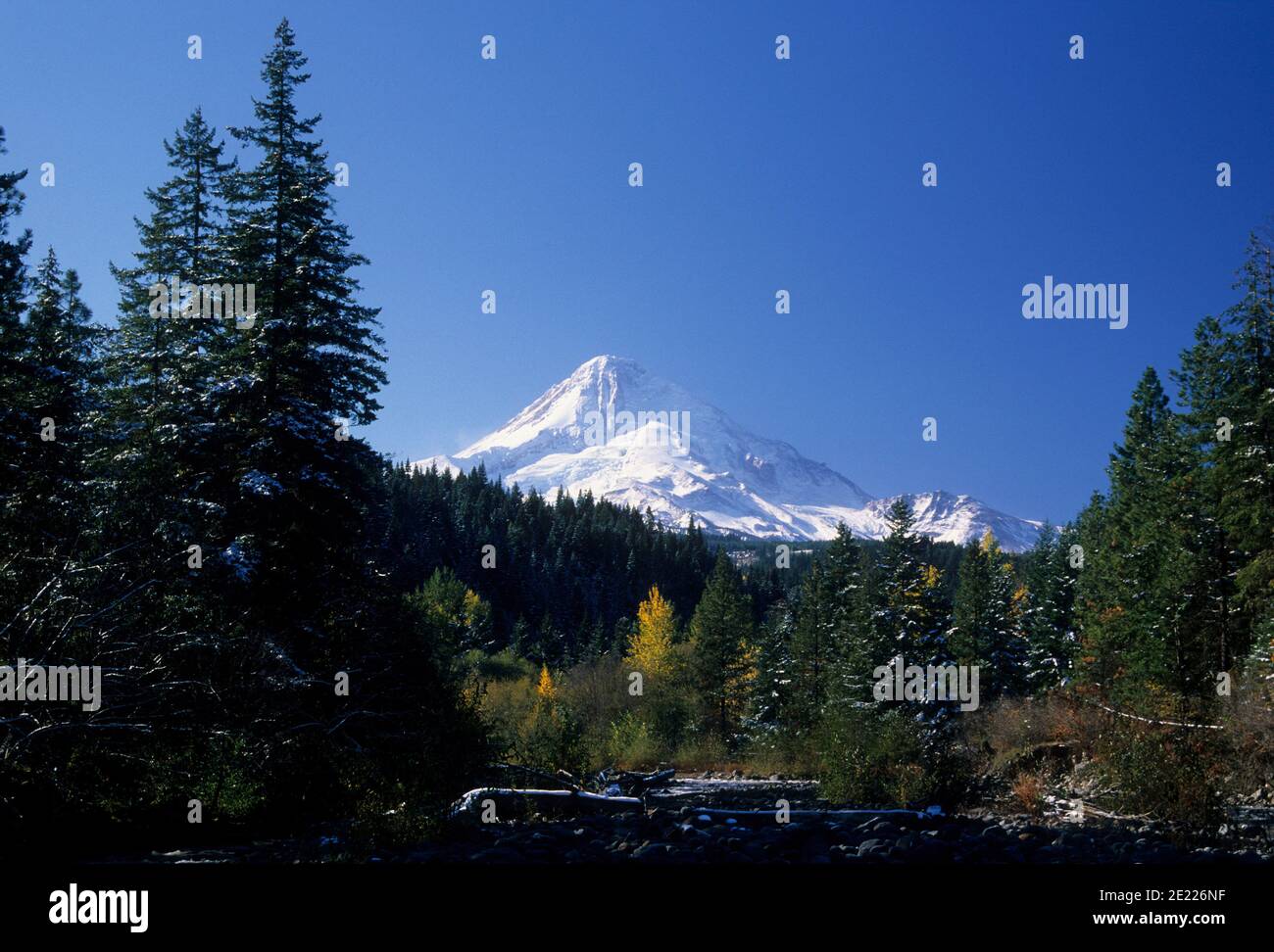 Blick auf Mt Hood vom OR Highway 35, Hood River County, Oregon Stockfoto