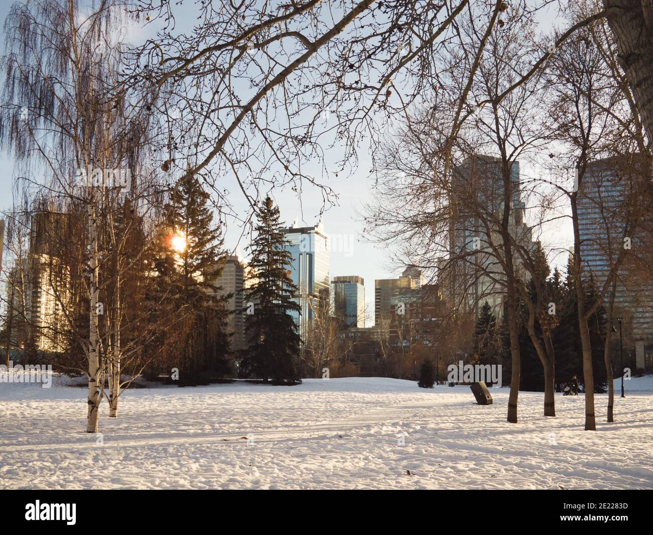 Calgary, Alberta, Kanada - 5. Januar 2013 Blick auf die Innenstadt von Calgary von einem verschneiten Prince's Island Park an einem Winternachmittag Stockfoto