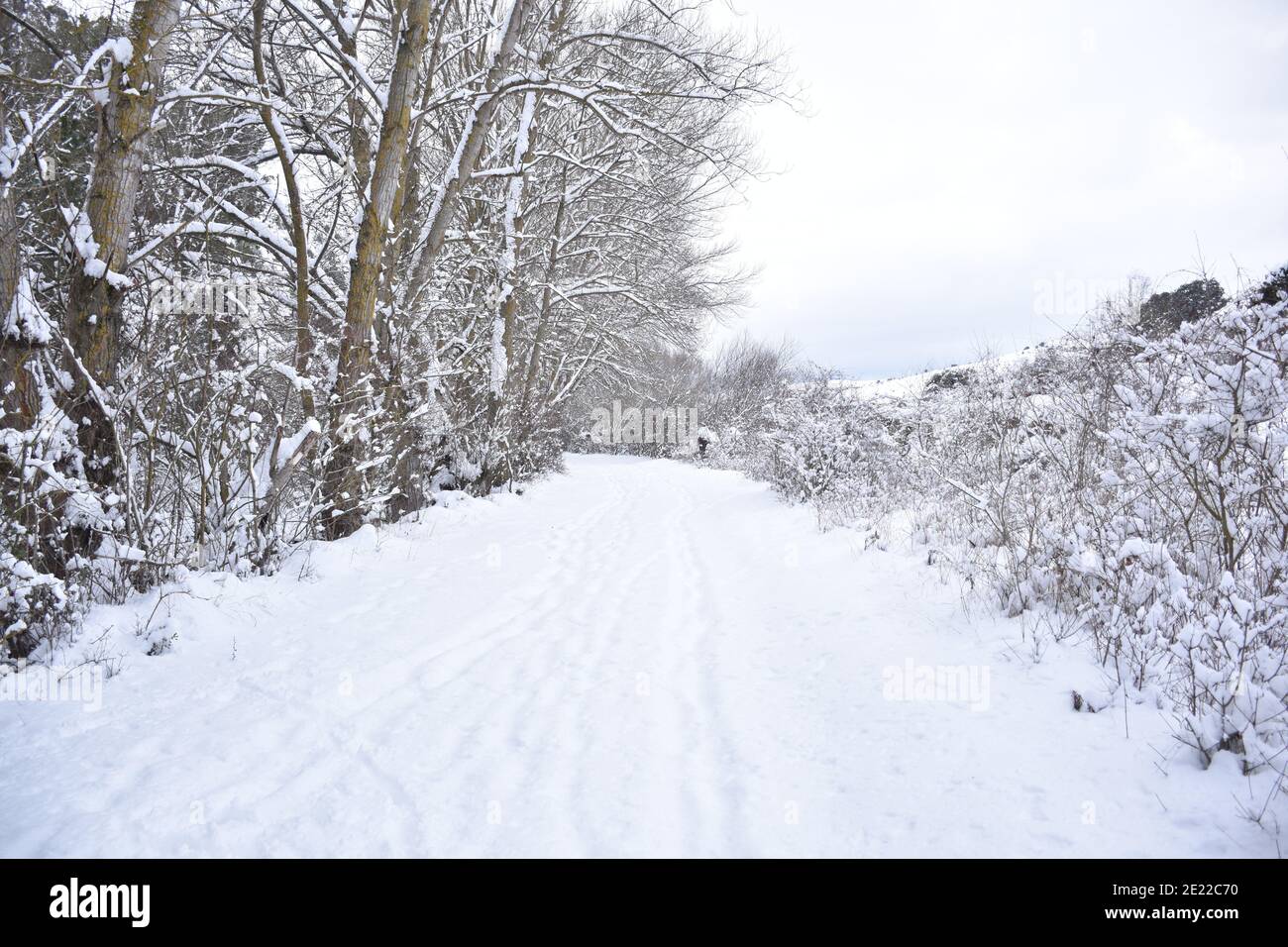 Landstraße mit Bäumen auf der linken Seite und Felder auf der rechten Seite von Schnee bedeckt. Filomena Schneesturm, als es durch Spanien, Januar 2021. Stockfoto