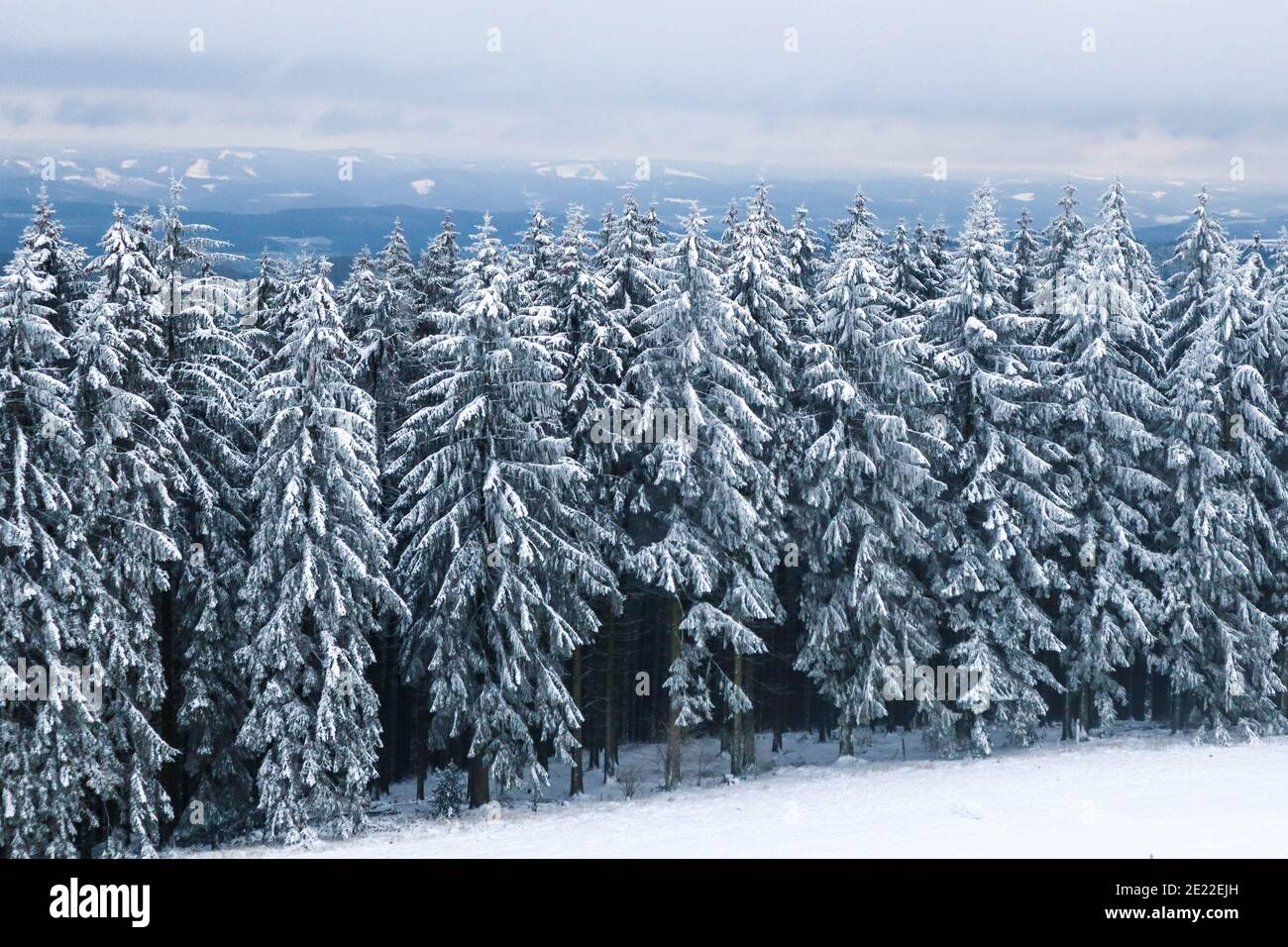 Wunderschöne Winterlandschaft mit viel Schnee im sauerland. Der Ort ist ruhig und auf der Spitze eines Berges. Stockfoto