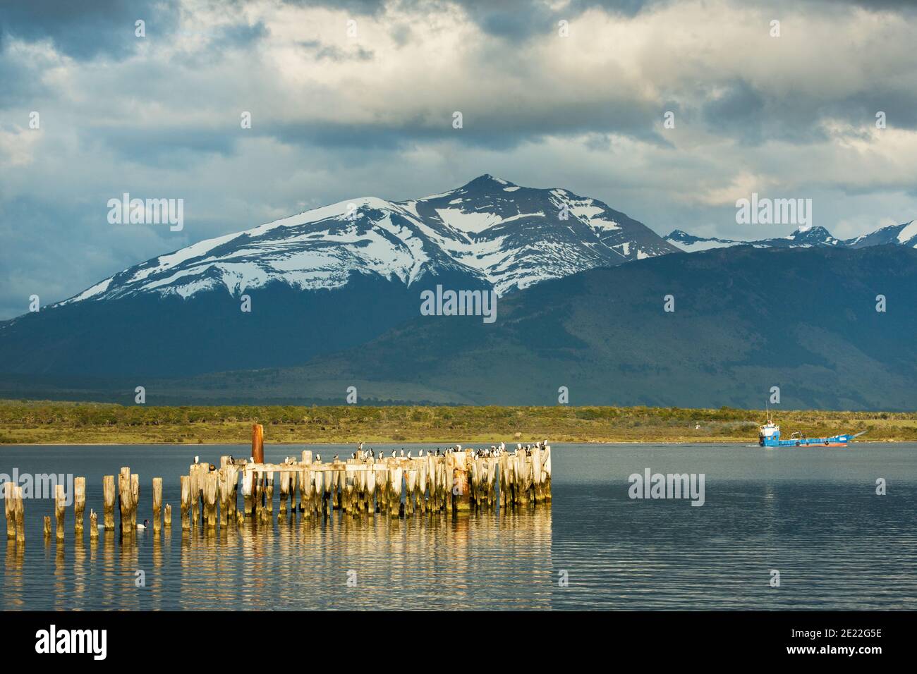 Alte hölzerne Anlegestelle spiegelt sich im Wasser des Ultima Esperanze Sound / Golfo Almirante Montt Puerto Natales, Patagonien, Chile, Andes & Torres del Paine Stockfoto