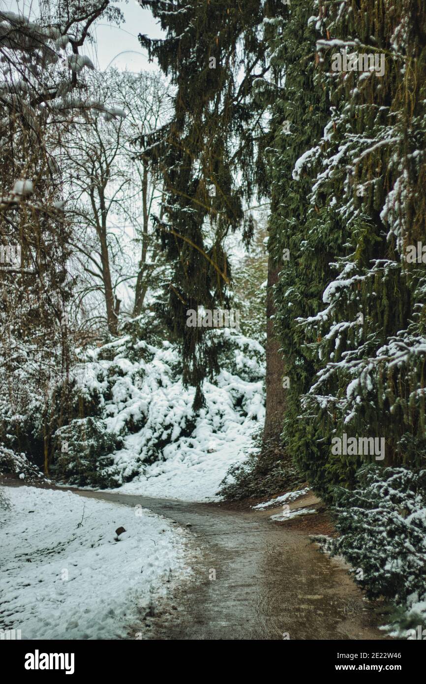 Pruhonice Park unter Schnee Stockfoto