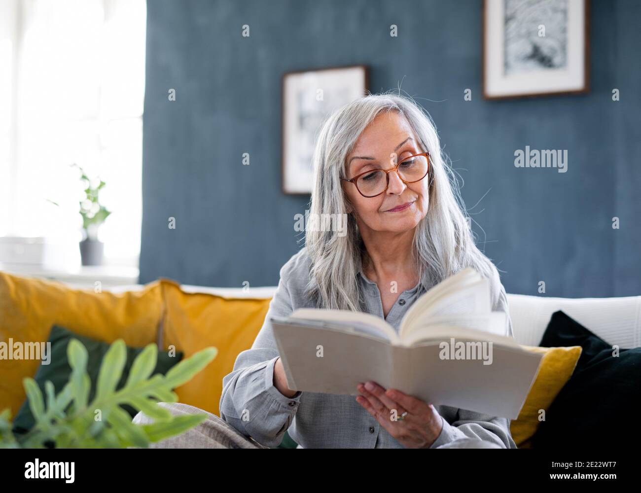 Porträt einer älteren Frau, die zuhause auf dem Sofa sitzt und Buch liest. Stockfoto