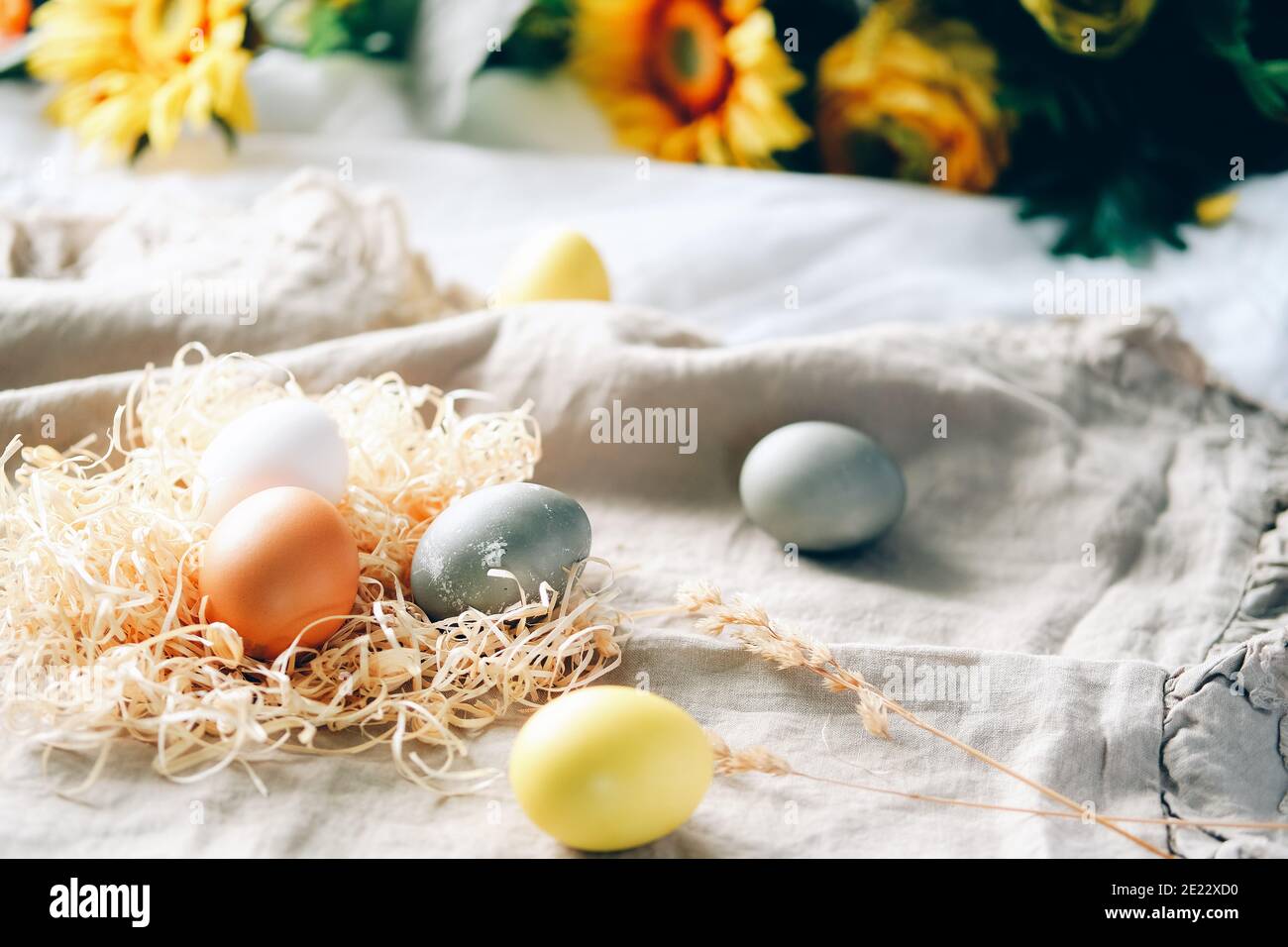 Bio natürlich gefärbte gelbe und graue Ostereier. Stilvolles Urlaubsdekor. Stockfoto