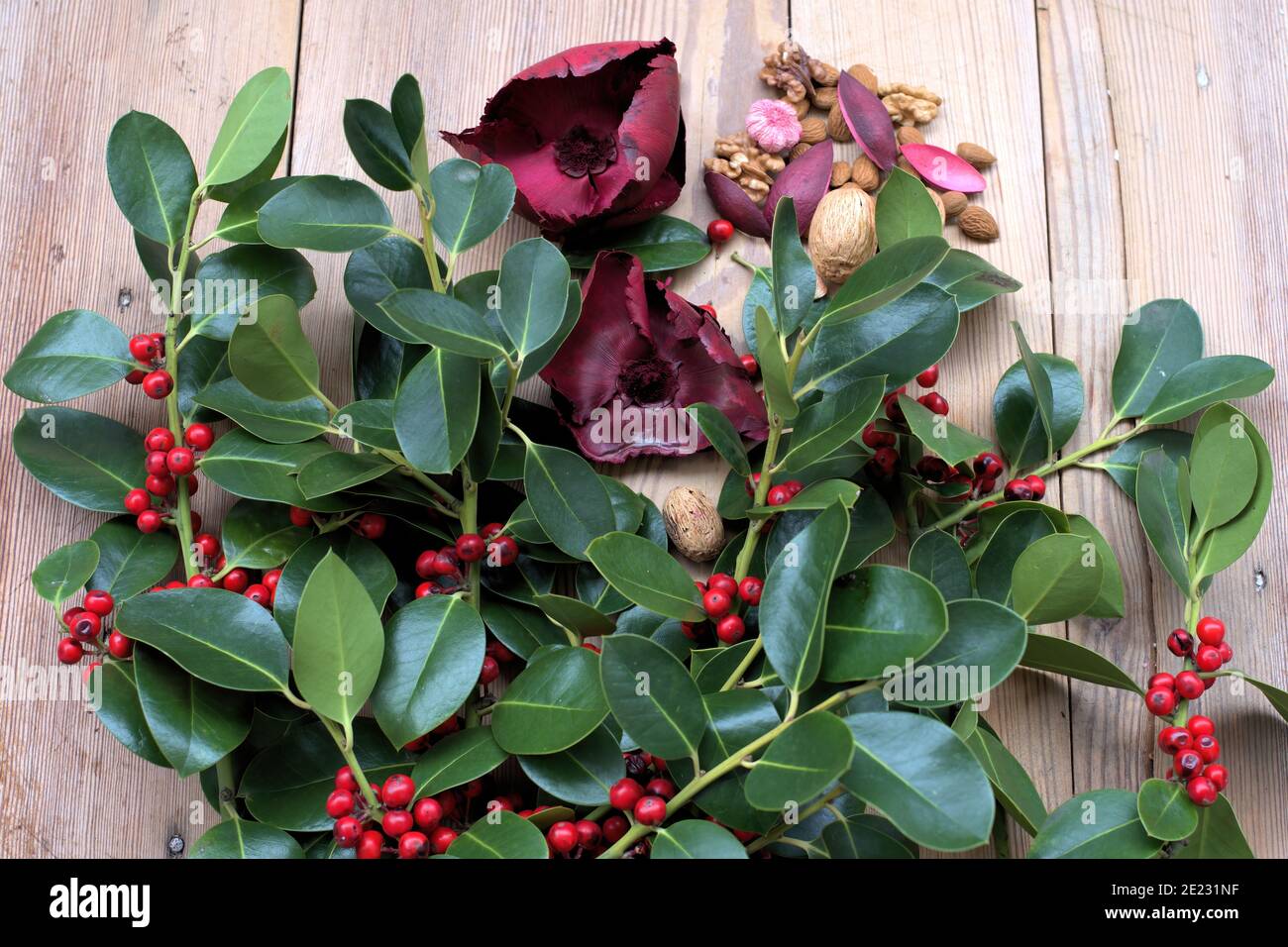 Rote Mistelbeeren, Nahaufnahme, auf einem Holztisch. Stockfoto