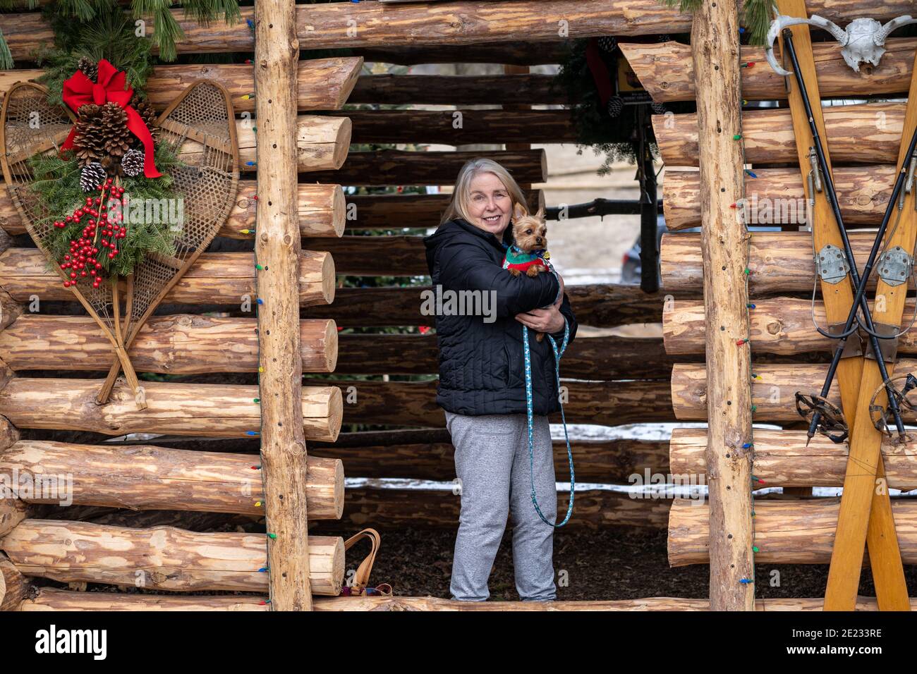 Ältere ältere Frau hält einen yorkshire Terrier Hund im Stehen In einer dekorierten Blockhütte Stockfoto