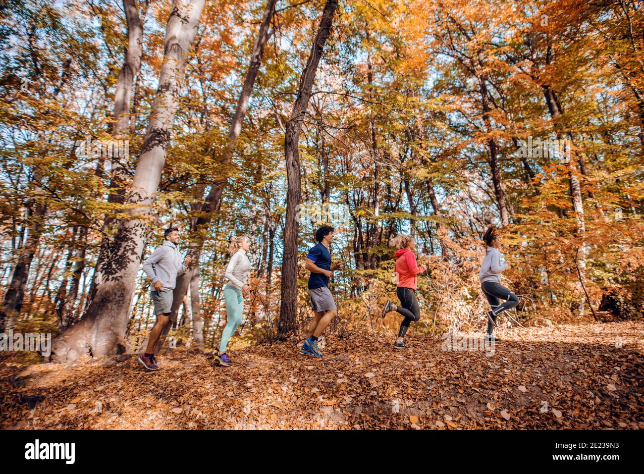 Kleine Gruppe von Läufern, die im Freien in der Schlange laufen. Forest Inn Herbst außen. Gesundes Lifestyle-Konzept. Stockfoto