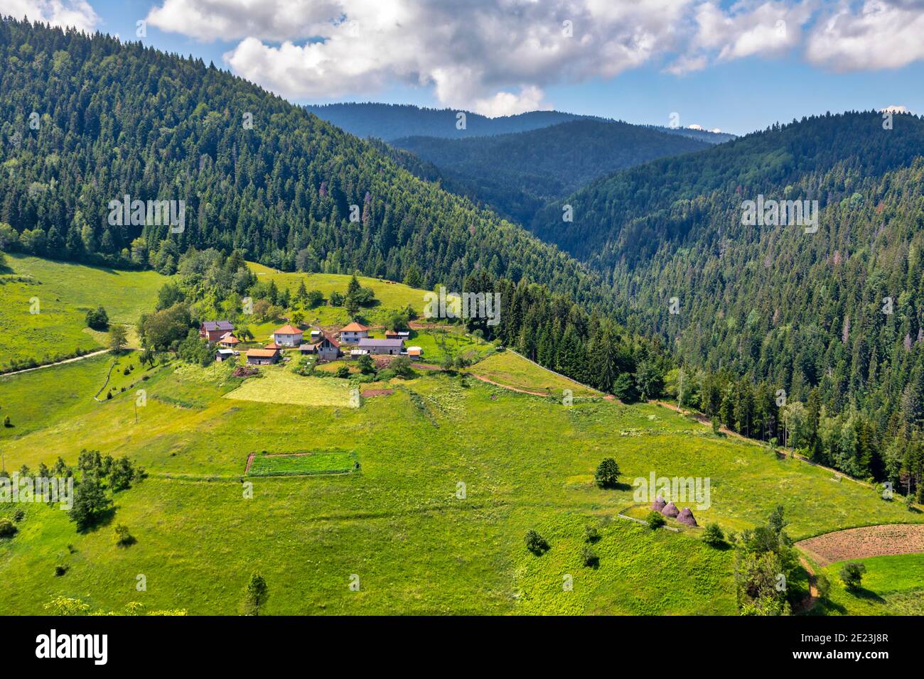 Schöne Zlatar Berg, beliebtes Touristenziel. Grüne Pinienwälder, Hügel und Wiese. Serbien Stockfoto