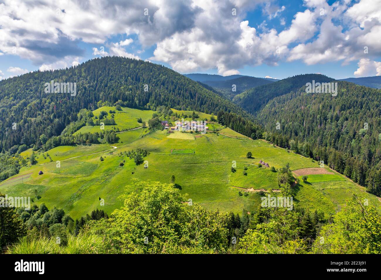 Schöne Zlatar Berg, beliebtes Touristenziel. Grüne Pinienwälder, Hügel und Wiese. Serbien Stockfoto