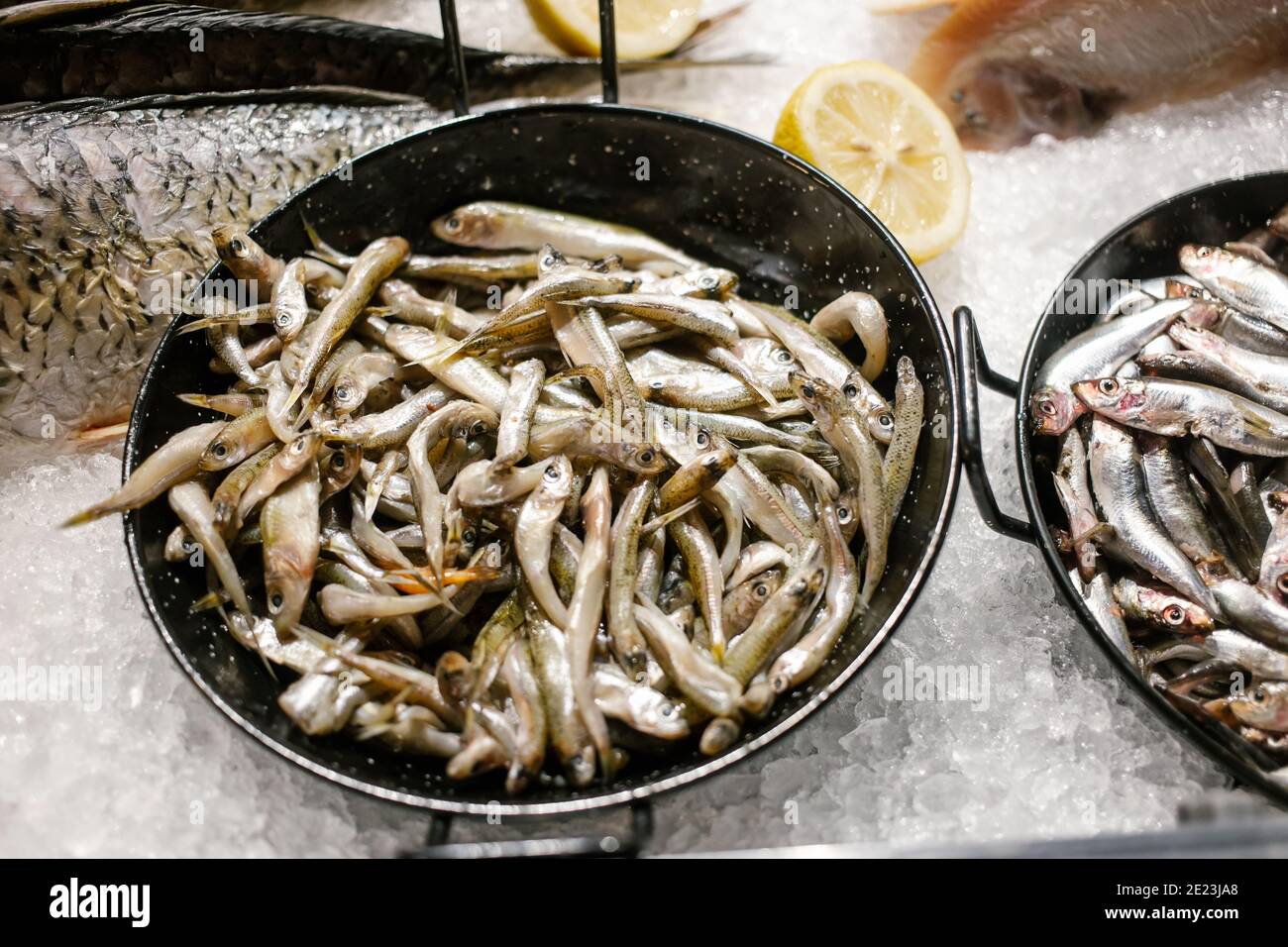 Frische schwarze Seefische bereit, auf der Fischerstheke zu verkaufen. Selektiver Fokus Stockfoto