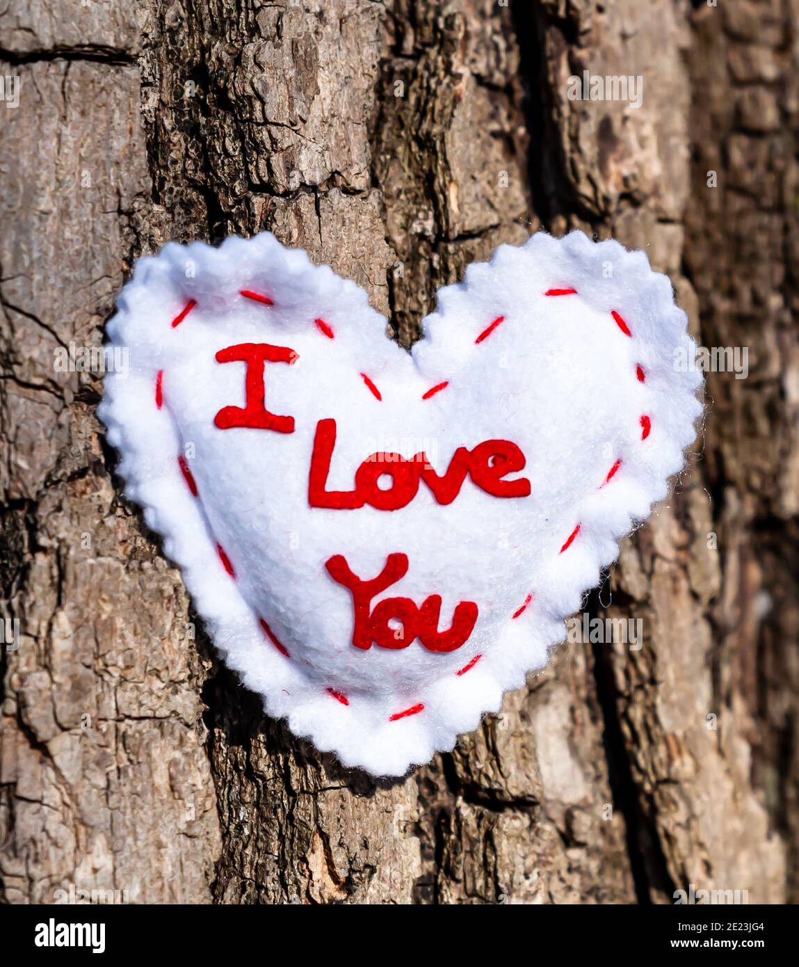 Ein weißes Stoffherz mit ich liebe dich aufgestickt Es auf der Eiche im Park Stockfoto