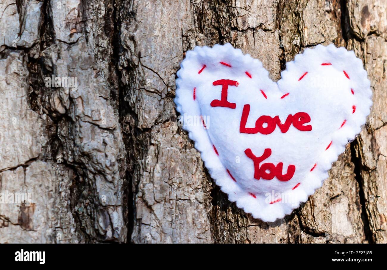 Ein weißes Stoffherz mit ich liebe dich aufgestickt Auf einer Eiche im Park Stockfoto