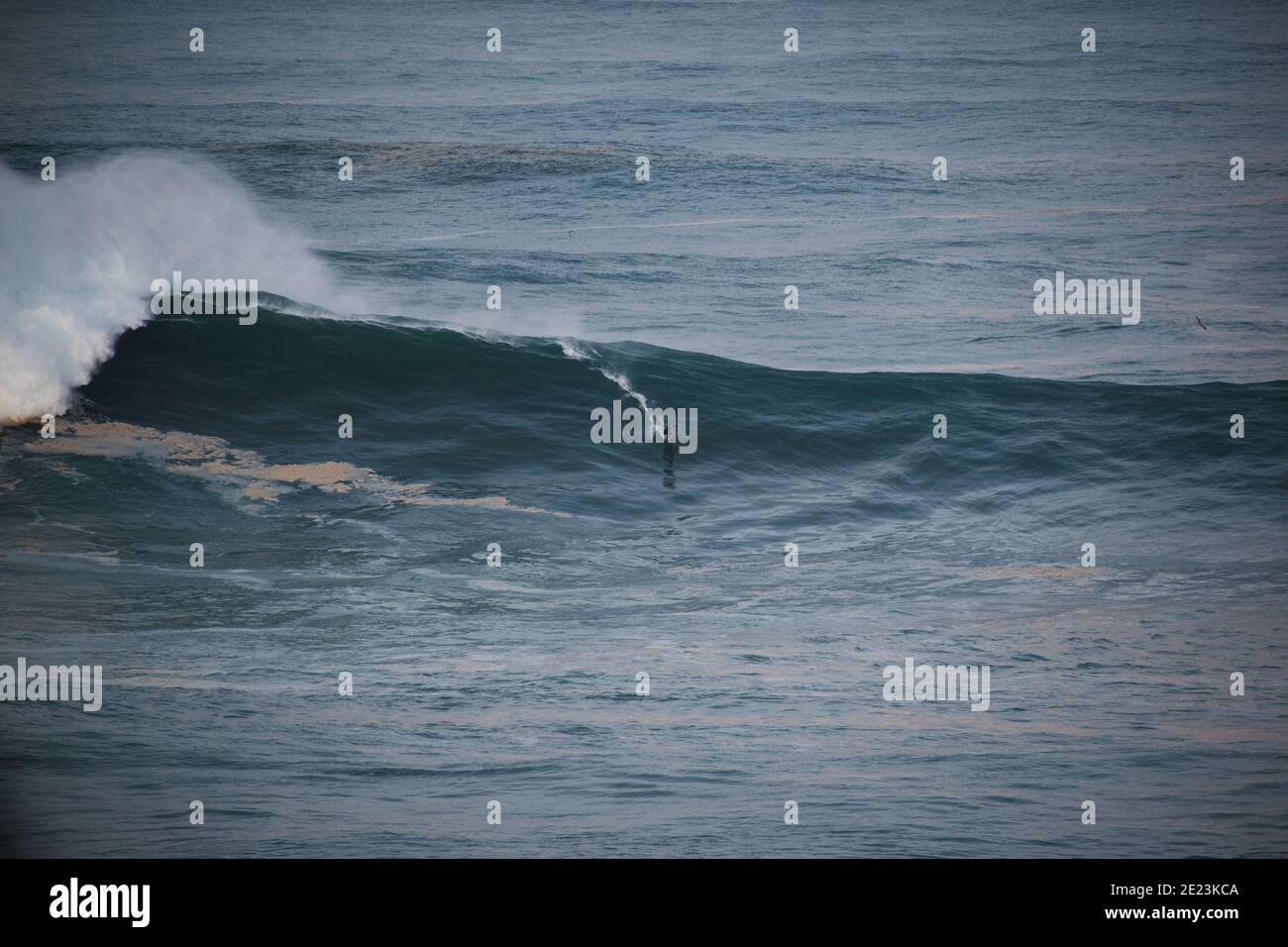 Big Wave Surfing, Nazare 29/10/20. Einer der größten Tage, an dem Hurrikan Epsilon je gesurft hat, brachte einen historischen Anschwellen des Nordatlantiks. Stockfoto