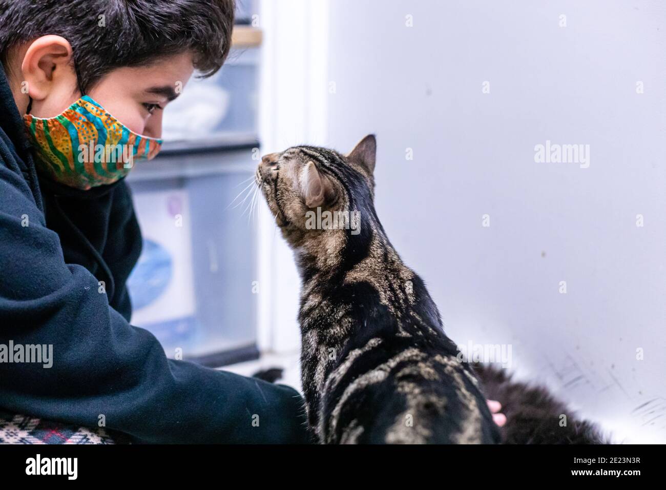 Adoptieren, spenden und/oder Vounteer Tiere in Grass Valley, Kalifornien zu helfen Stockfoto