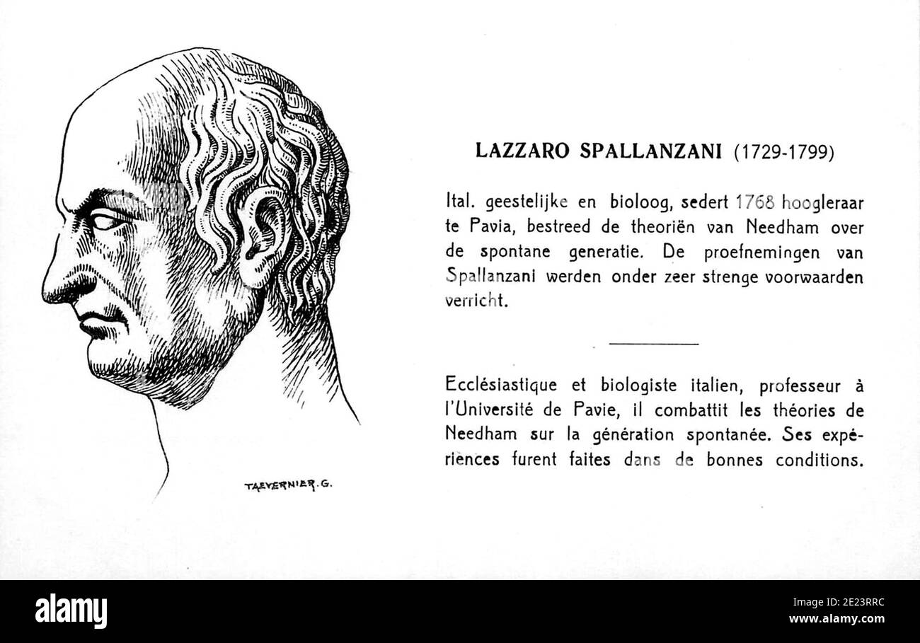 1780 Ca, ITALIEN: Der berühmte italienische Jesuitenpater, Biologe und Physiologe LAZZARO SPALLANZANI ( 1729 - 1799 ), Stich des Schweizer Künstlers G. Taevernier für eine Postkarte im XX Jahrhundert veröffentlicht. - PROFESSOR - PROFESSORE - foto storiche - foto storica - scienziato - Wissenschaftler - BIOLOGO - BIOLOGISTT - BIOLOGIA - BIOLOGIE - DOTTORE - MEDICO - MEDICINA - Medizin - WISSENSCHAFT - Inzisione - Illustration - FISIOLOGIA - FISIOLOGO - batteriologo - batteriologia -- - Archivio GBB Stockfoto