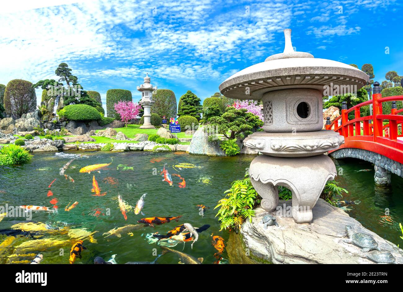 Ökologischer Garten im feng Shui mit Aquarium Koi, Zypresse, Kiefer