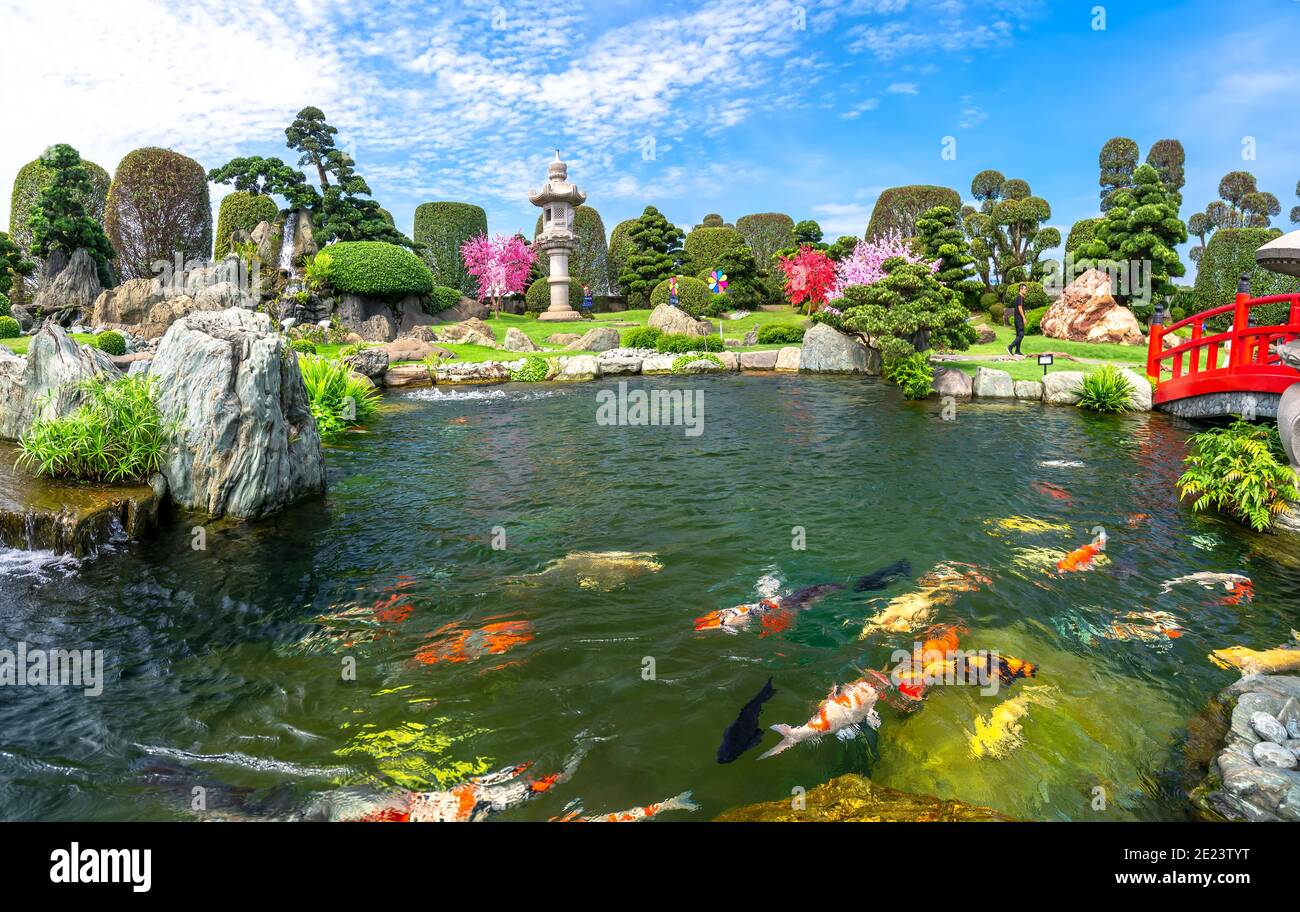 Ökologischer Garten im feng Shui mit Aquarium Koi, Zypresse, Kiefer