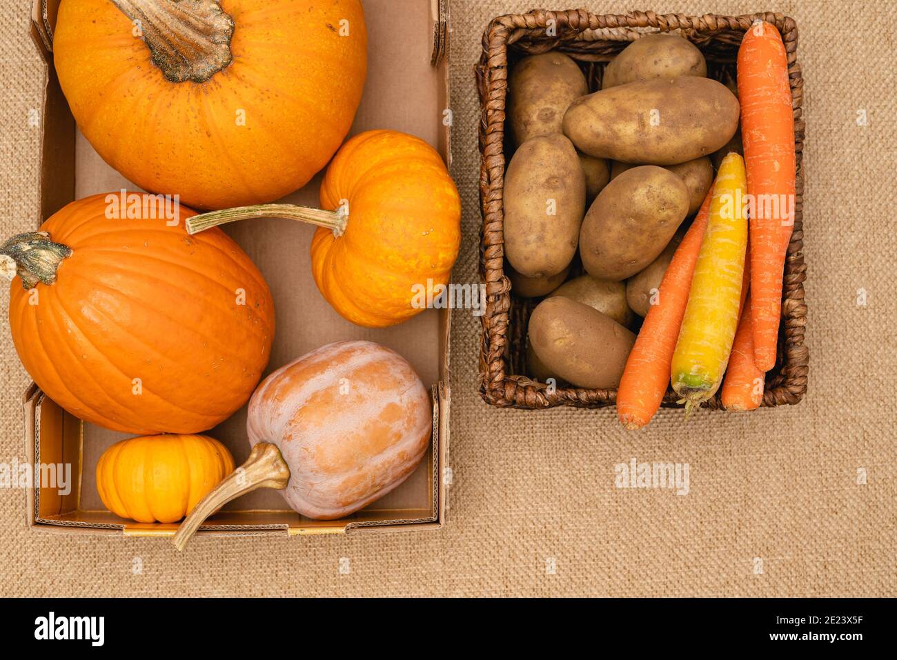 Kartoffeln, Karotten, Kürbisse und Kürbis aus nächster Nähe im Korb direkt von oben, Erntezeit, Landwirtschaftskonzept Stockfoto