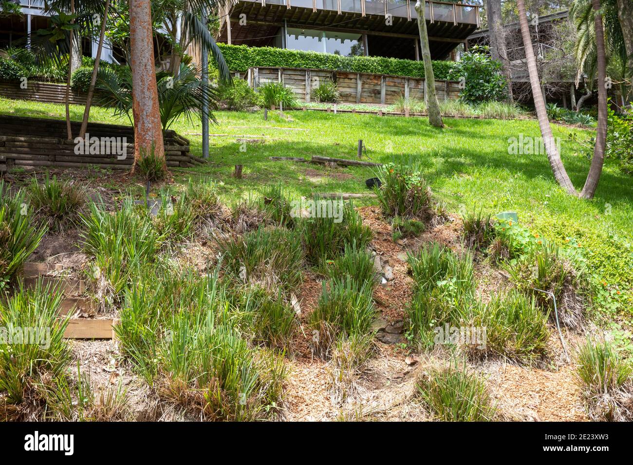 Sydney Haus und grüner Vorgarten auf einer Hanglage, Clareville, Sydney, Australien Stockfoto