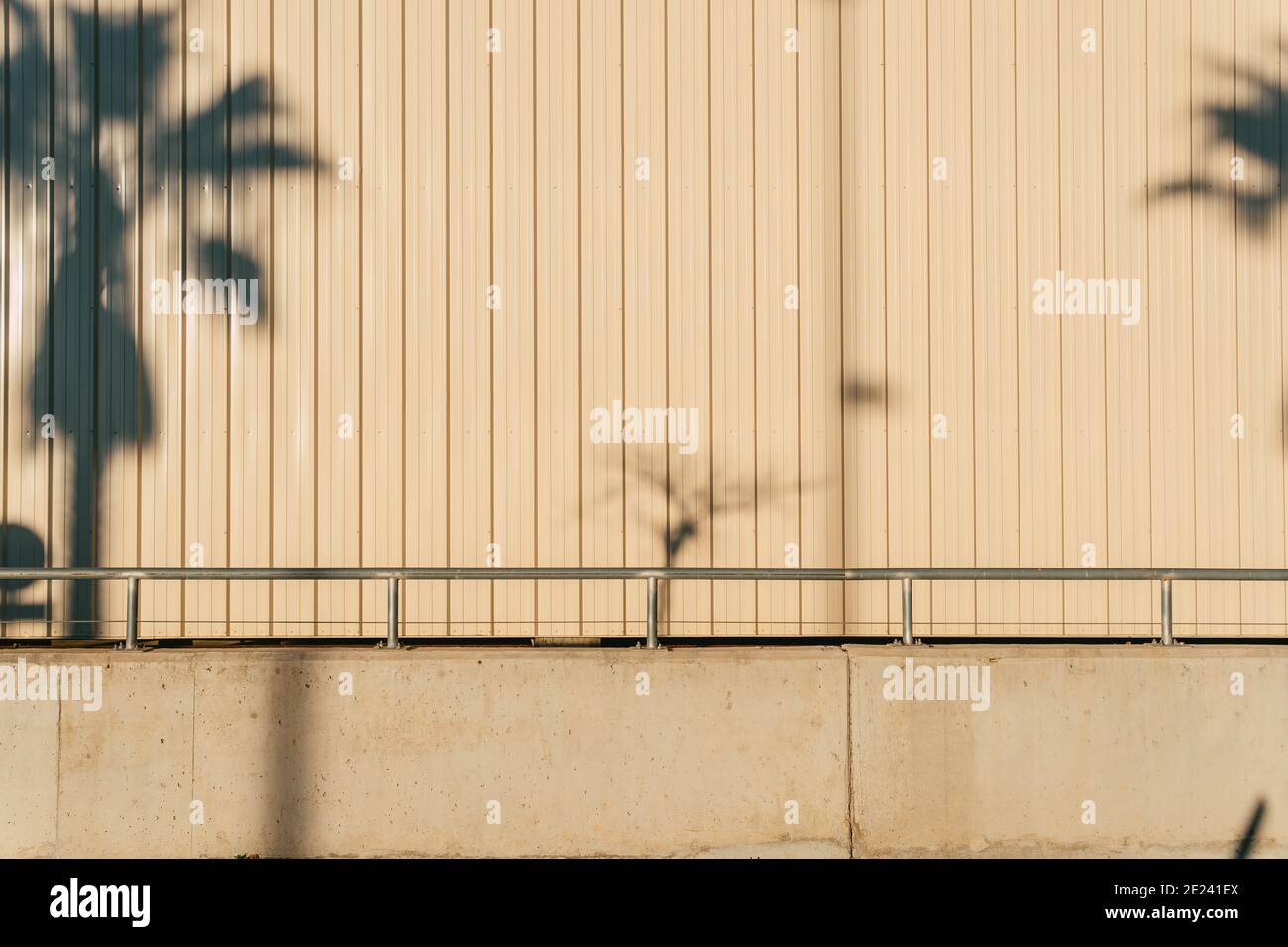 Blick auf den Schatten einer Palme auf verzinktem Holz Wandplatten aus Stahl mit Kopierraum Stockfoto