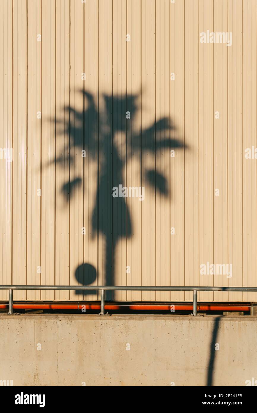 Vertikale Aufnahme des Schattens einer Palme auf Wandplatten aus verzinktem Stahl mit Kopierfläche Stockfoto