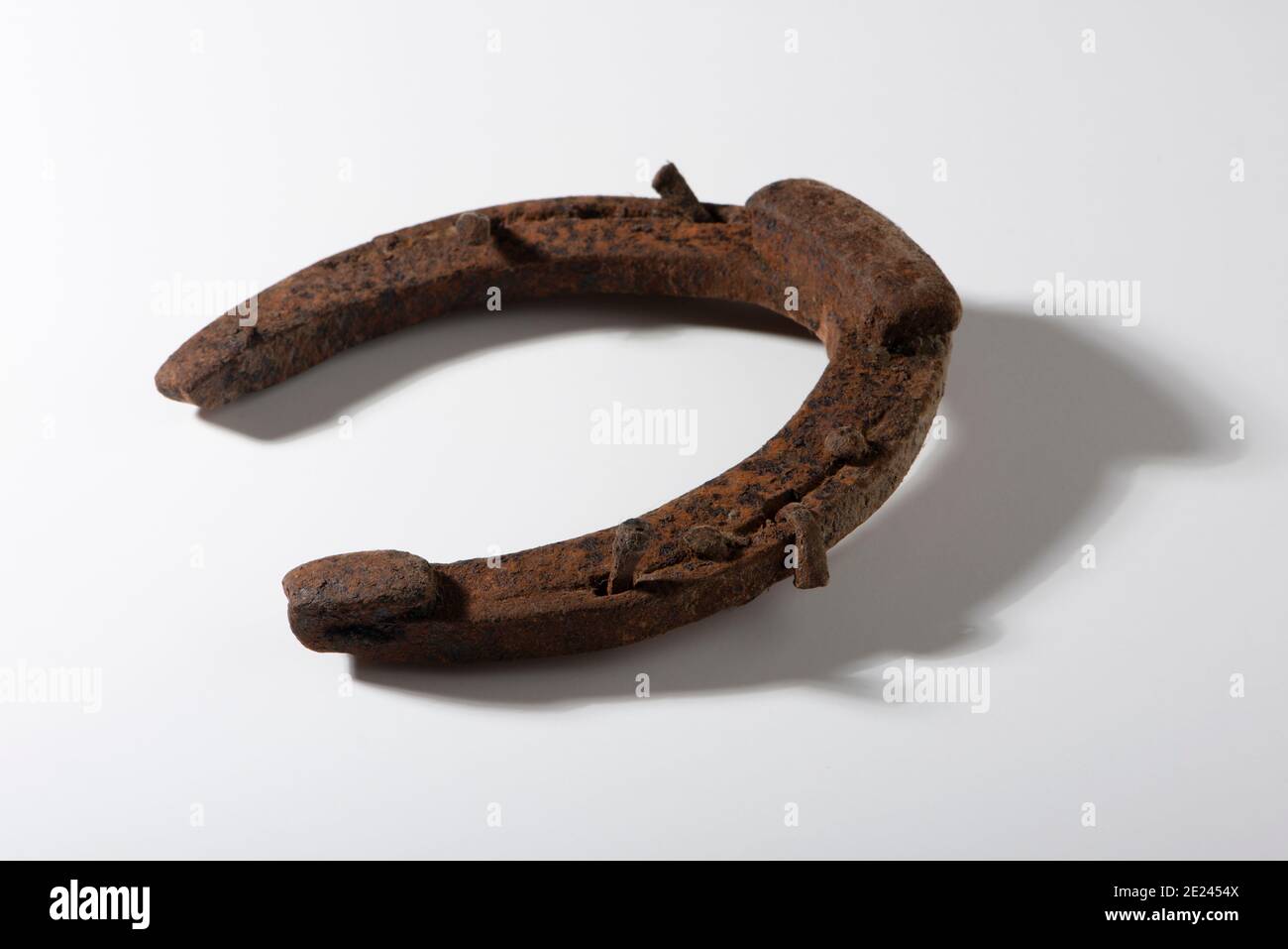 Nahaufnahme des alten Pferdehuhs. Isoliert auf Weiß. Stockfoto