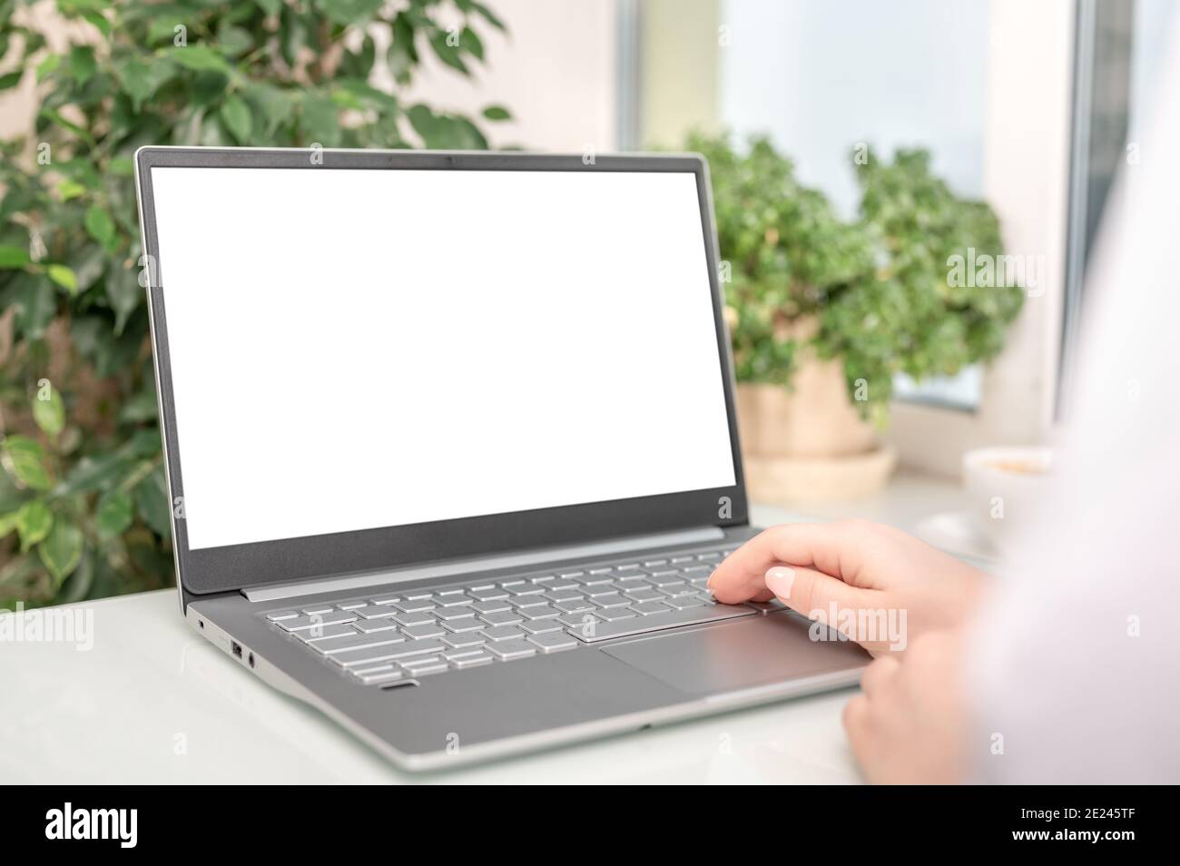 Notebook-Modell. Nahaufnahme der Hände mit Laptop mit leerem Bildschirm. Frau vor dem Laptop-Computer während der Quarantäne oder selbst-i arbeiten Stockfoto