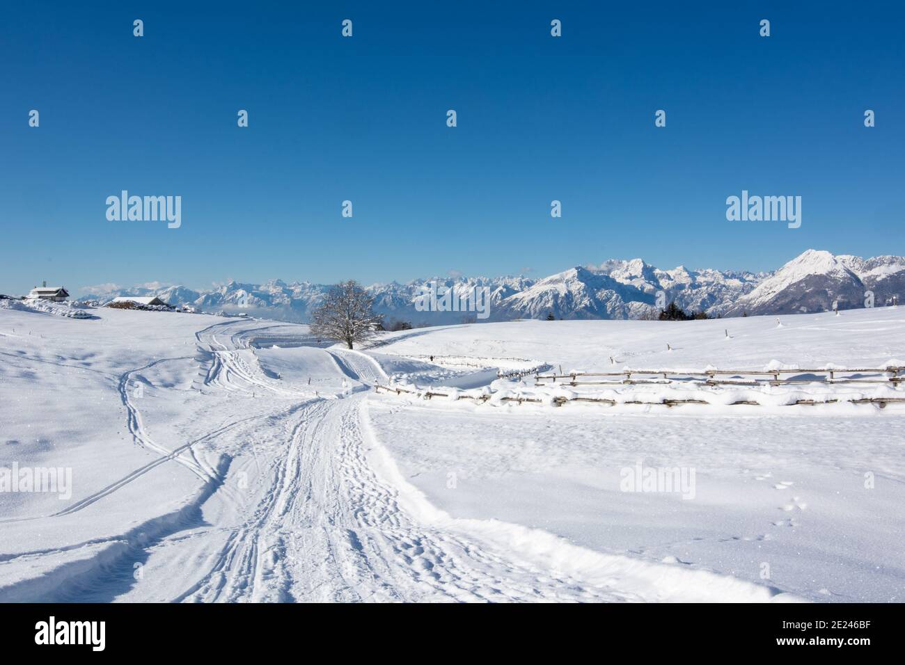 Die schneebedeckte Straße Stockfoto