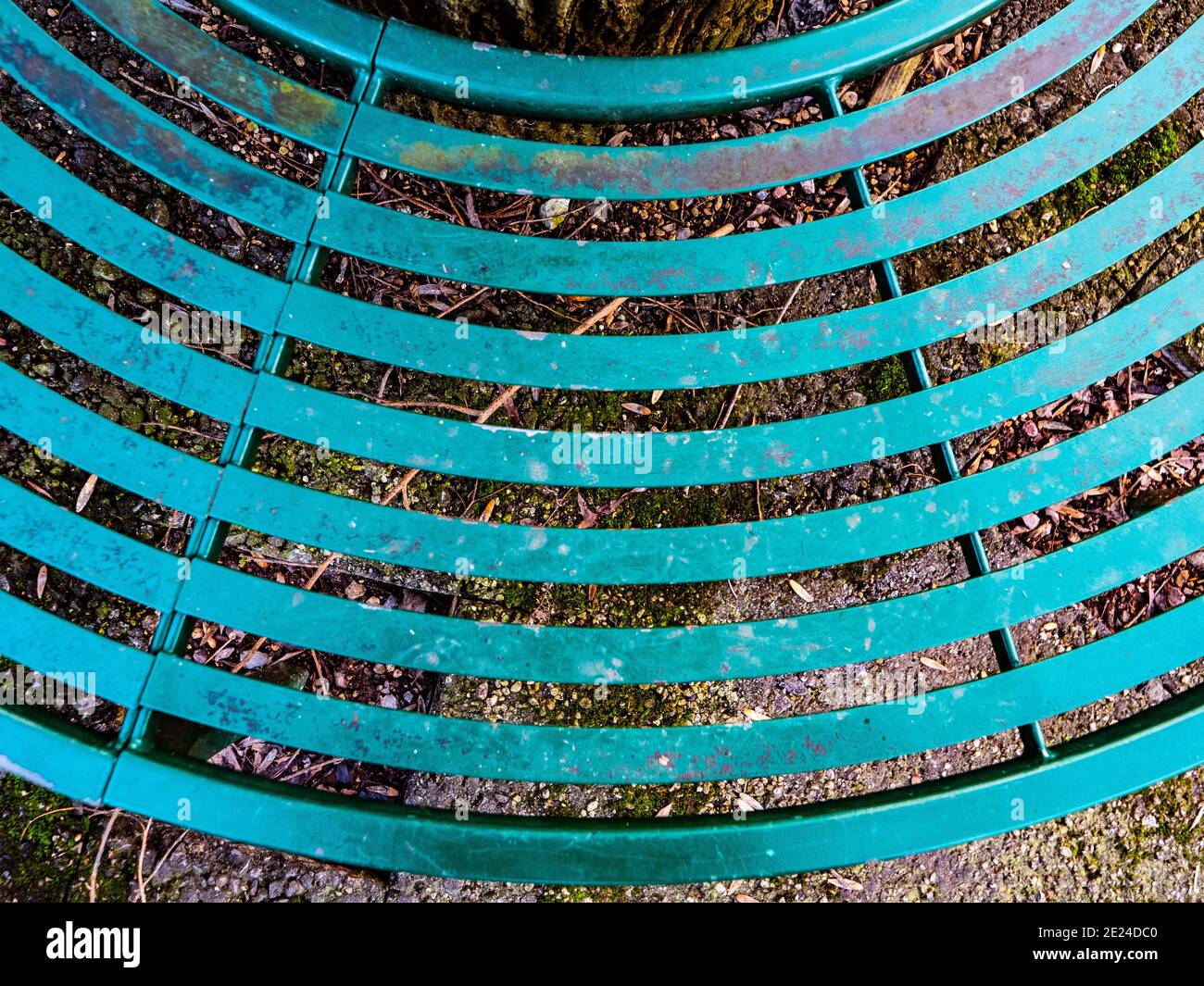 Kreisförmige, farbige Eisenbank, die den Baum in einem lokalen Park in Westbury Leigh, Wiltshire, England, Großbritannien umgibt. Stockfoto