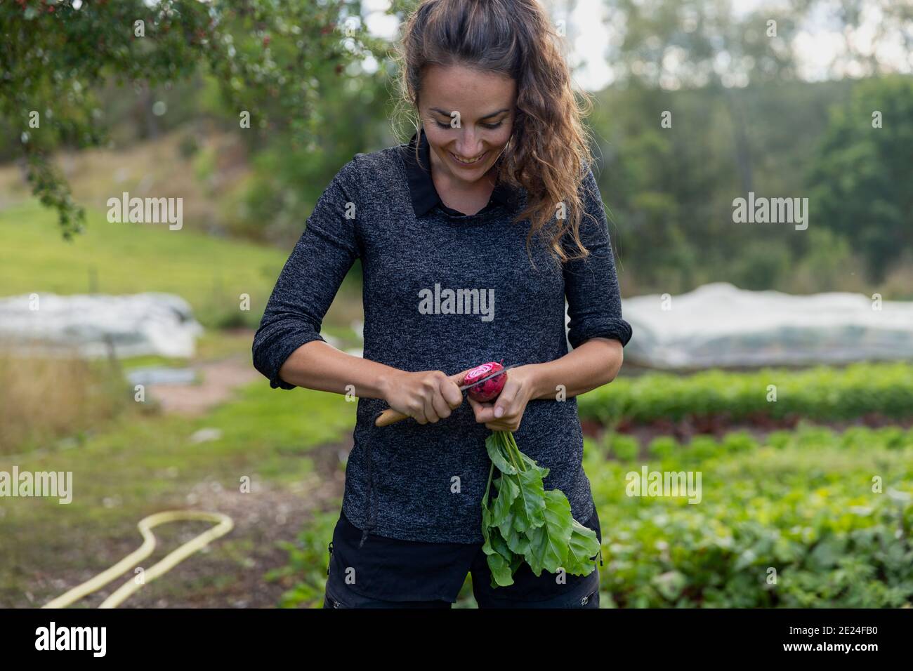 Lächelnde Frau, die rote Beete schneidet Stockfoto