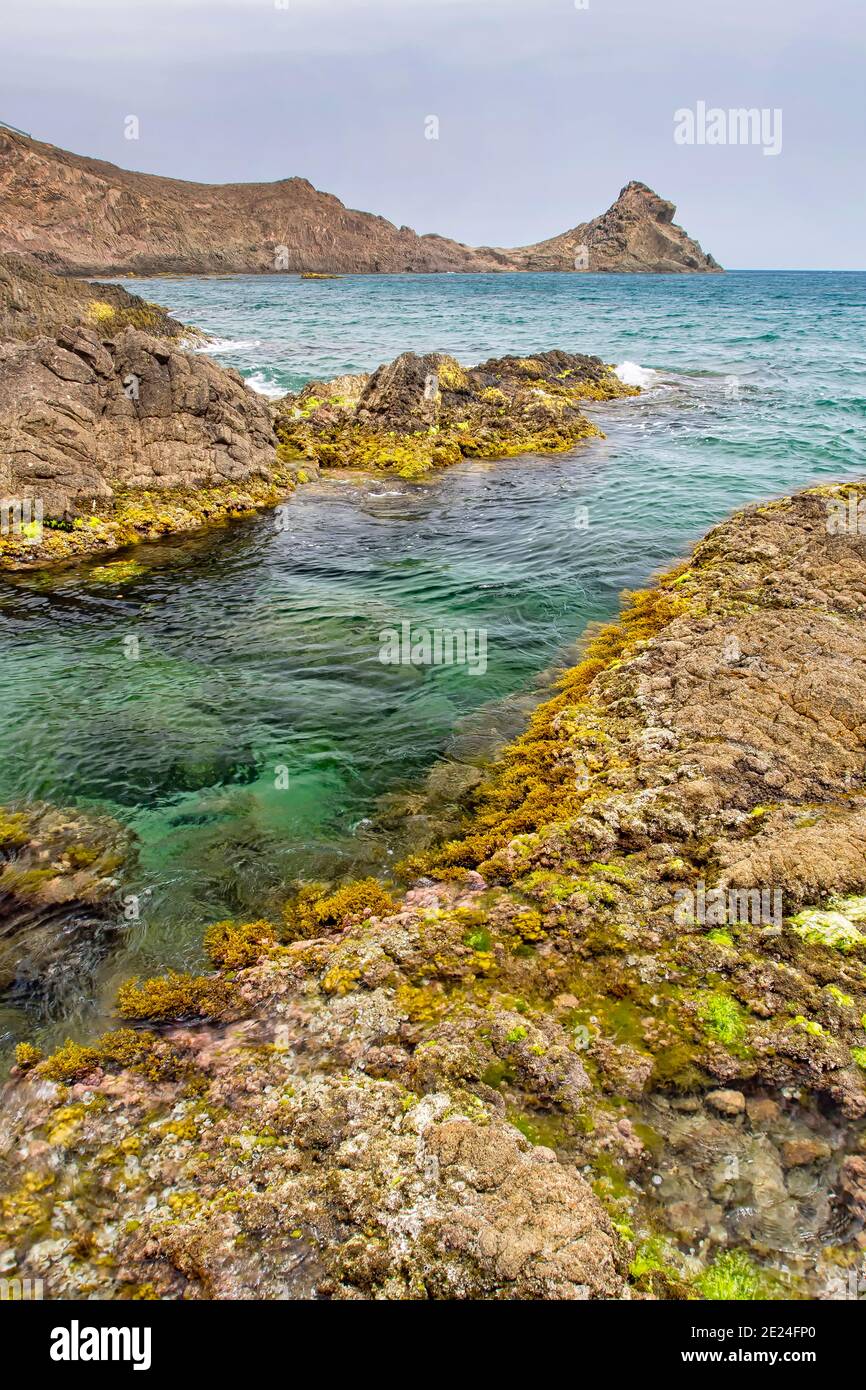 Las Sirenas Riff, Meerjungfrauen Riff, Cabo de Gata-Nijar Naturpark, Biosphärenreservat, Almeria, Andalusien, Spanien, Europa Stockfoto