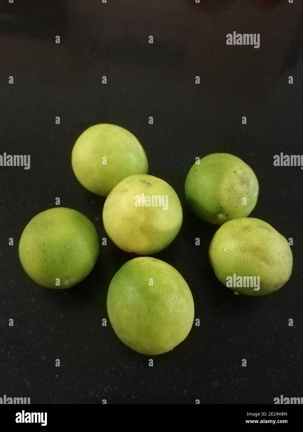 Citrus ist eine Gattung von blühenden Bäumen und Sträuchern in der Familie der Rue, Rutaceae. Pflanzen der Gattung produzieren Zitrusfrüchte, Stockfoto