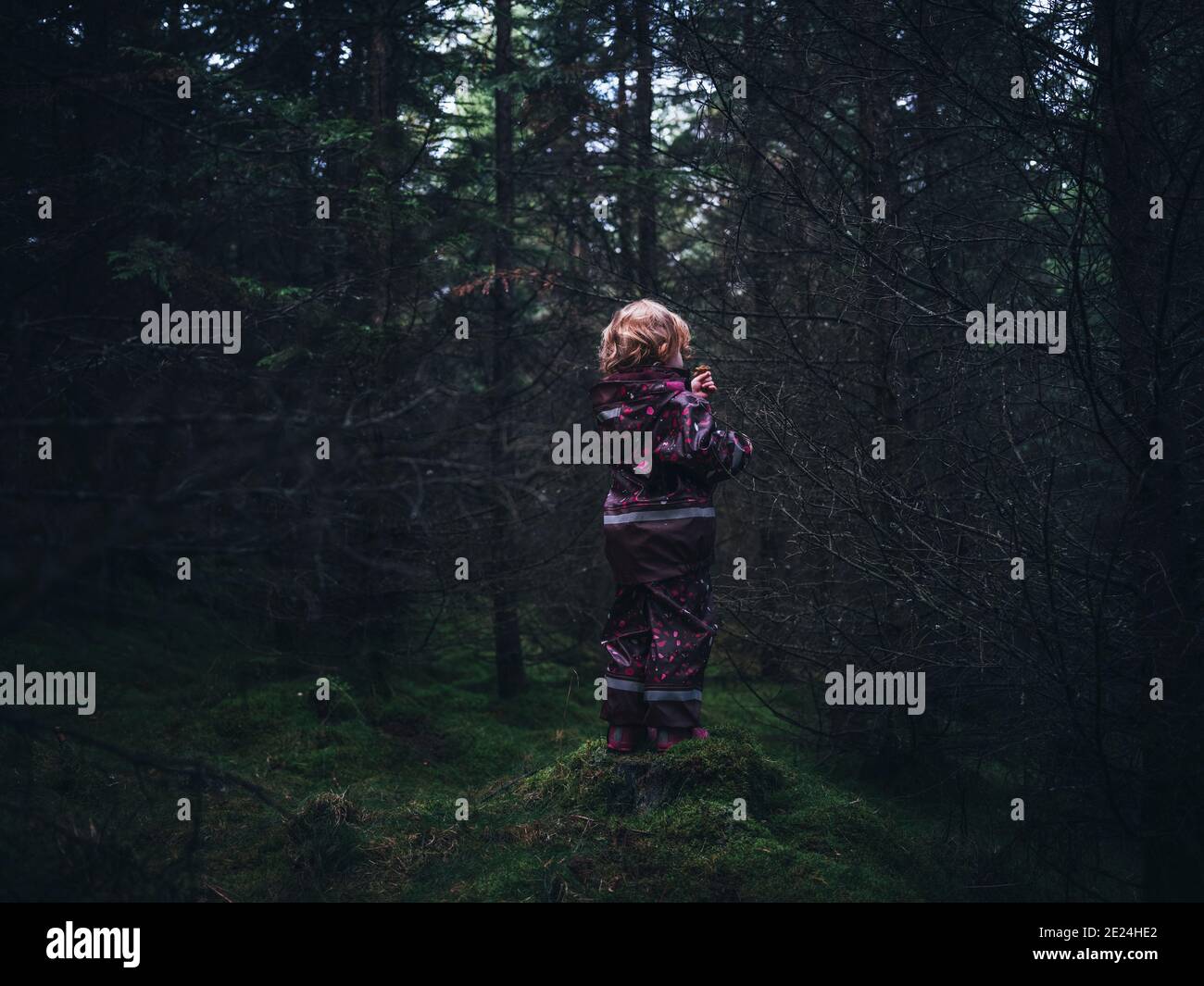 Kleinkind Mädchen im Wald Stockfoto