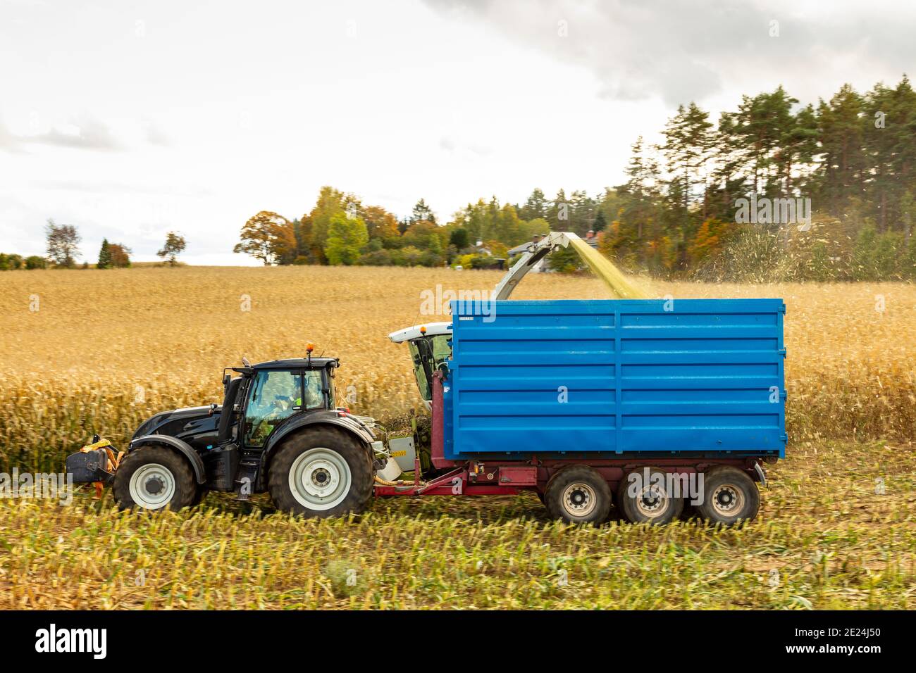 Traktor auf dem Feld während der Ernte Stockfoto