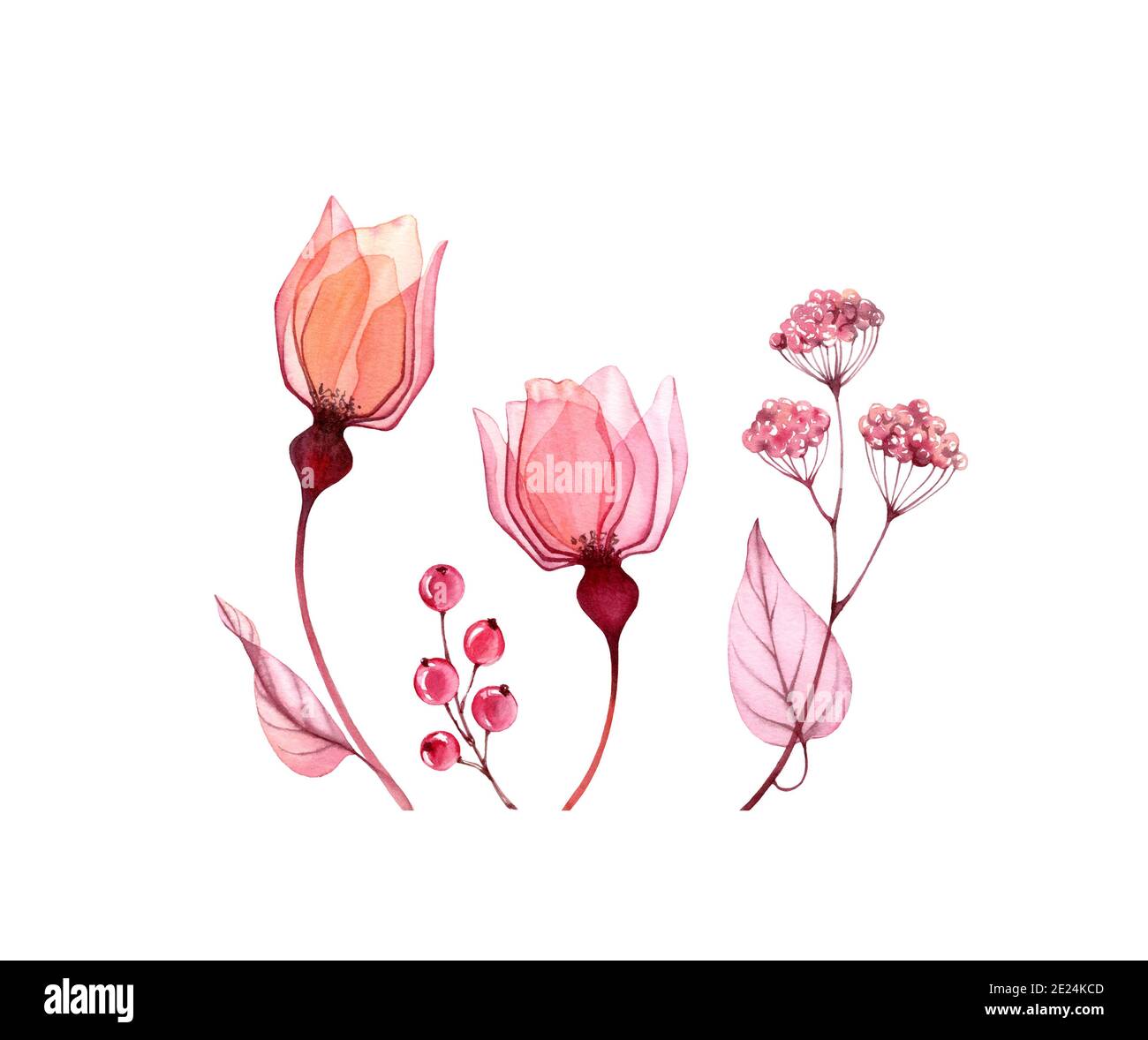 Aquarell-Set mit Blumenmuster. Sammlung von kleinen transparenten Rosen, Blätter in rosa Farbe. Handbemaltes isoliertes Design. Botanische Abbildung für Stockfoto