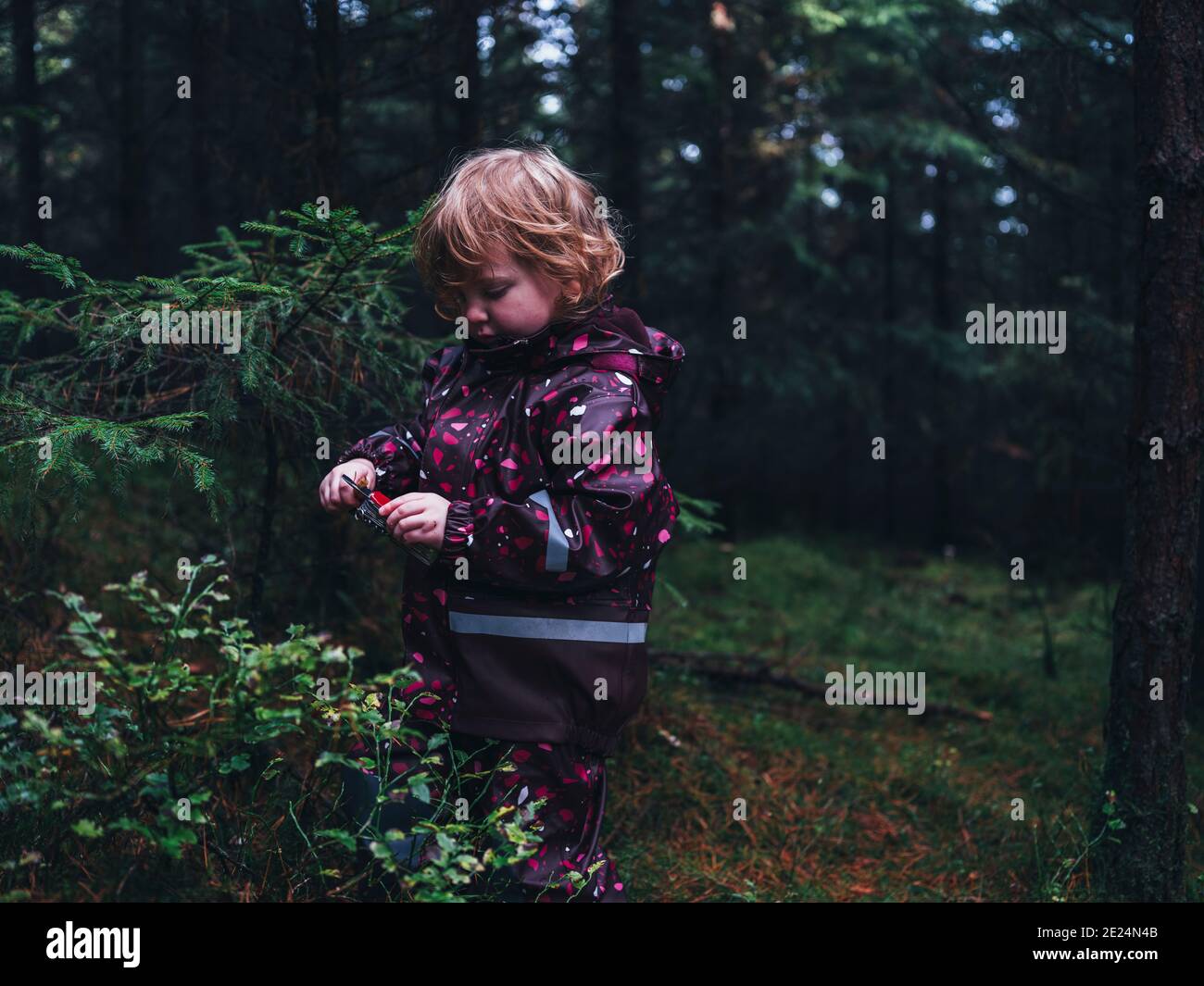 Kleinkind Mädchen im Wald Stockfoto