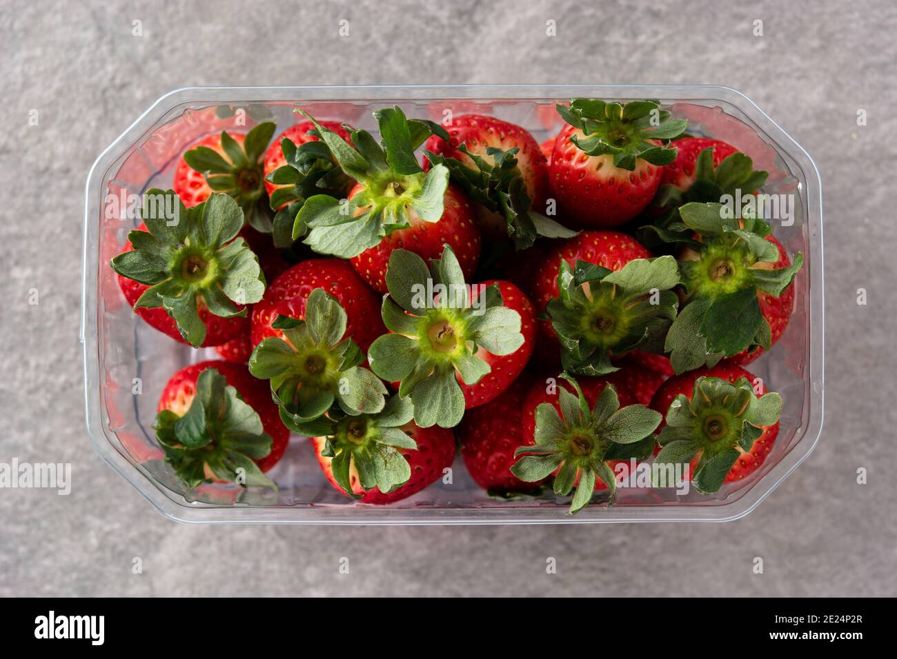 Erdbeeren in Kunststoffverpackung auf grauem Steingrund Stockfoto