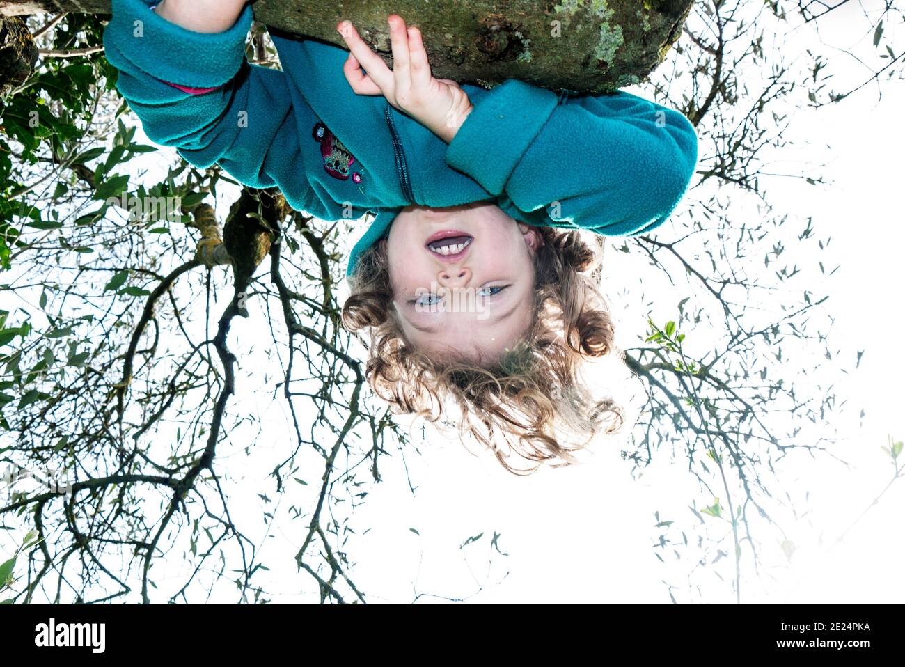 Mädchen hängend auf dem Kopf in einem Baum, Italien Stockfoto