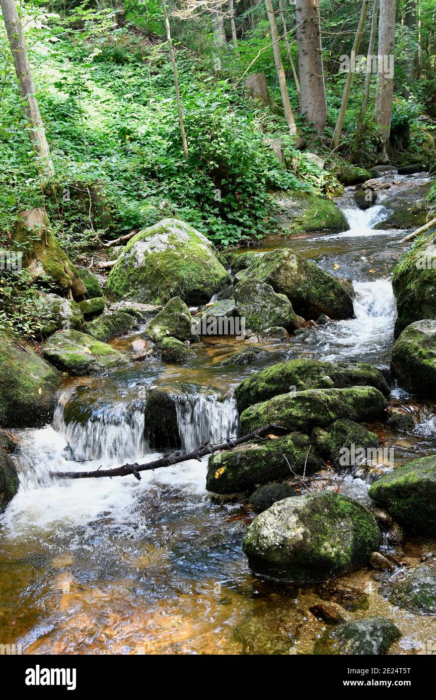 Österreich, die Ysperklamm ist ein Naturdenkmal im Waldviertel, einem Teil des westlichen Niederösterreichs mit Wanderwegen, Brücken und Wasserfällen entlang der ysp Stockfoto